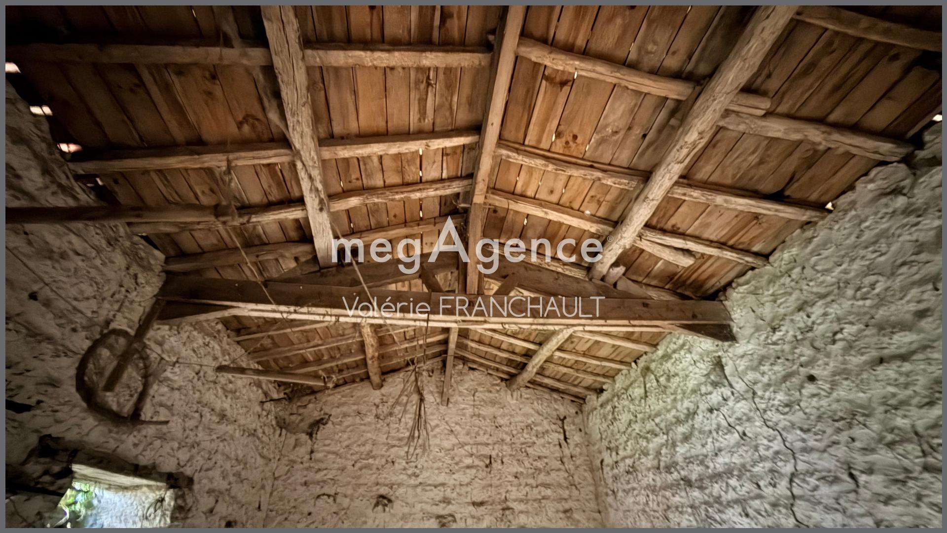 Miniature photo - 10 / 10