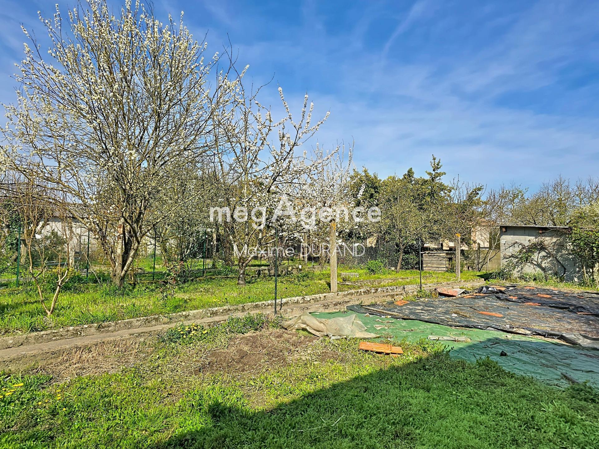 Miniature photo - 12 / 12