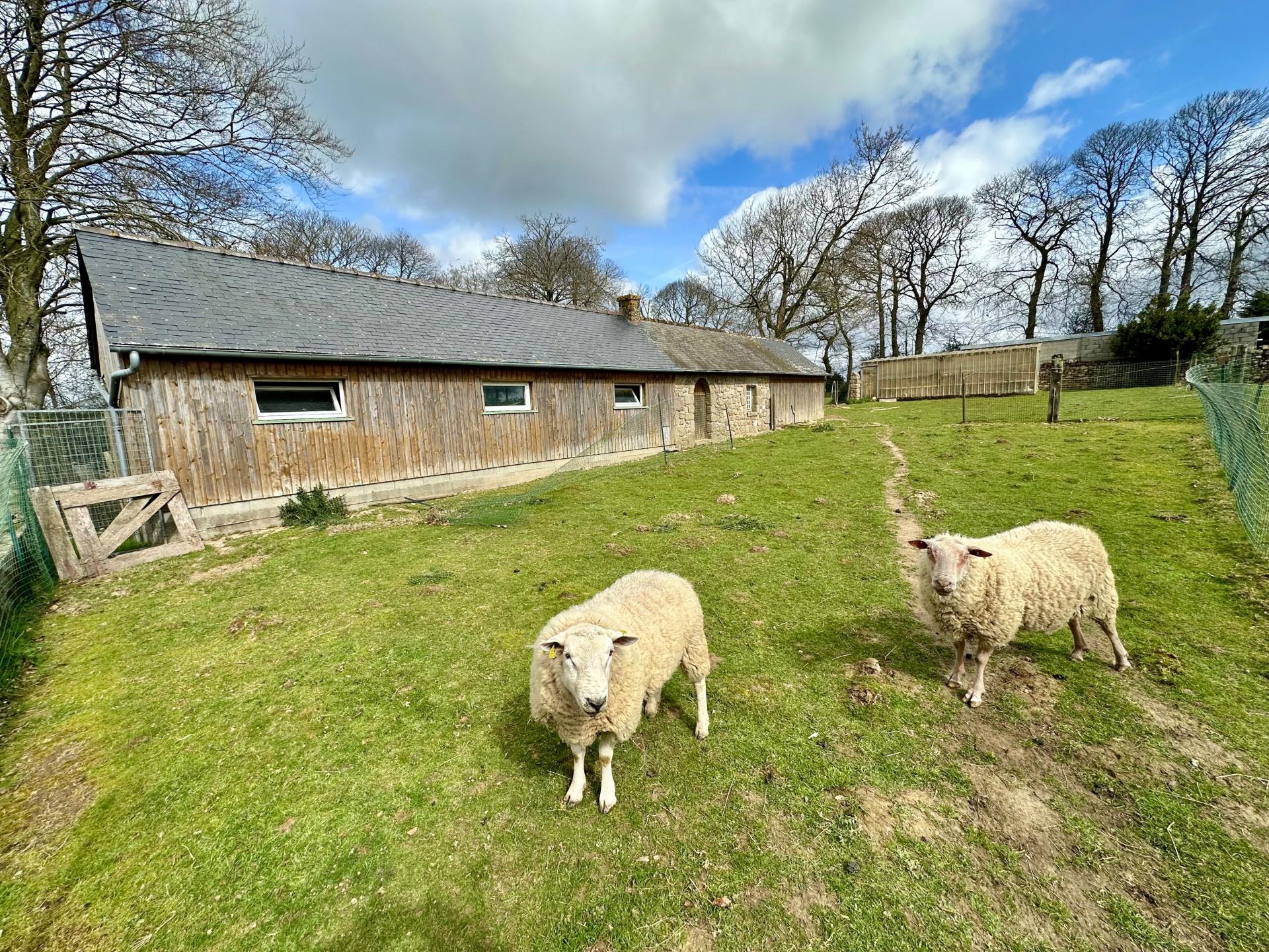 Miniature photo - 4 / 17