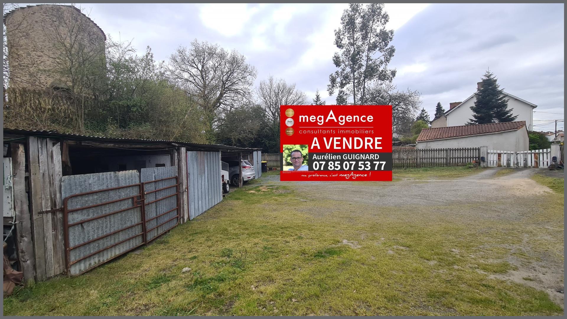 Miniature photo - 3 / 3