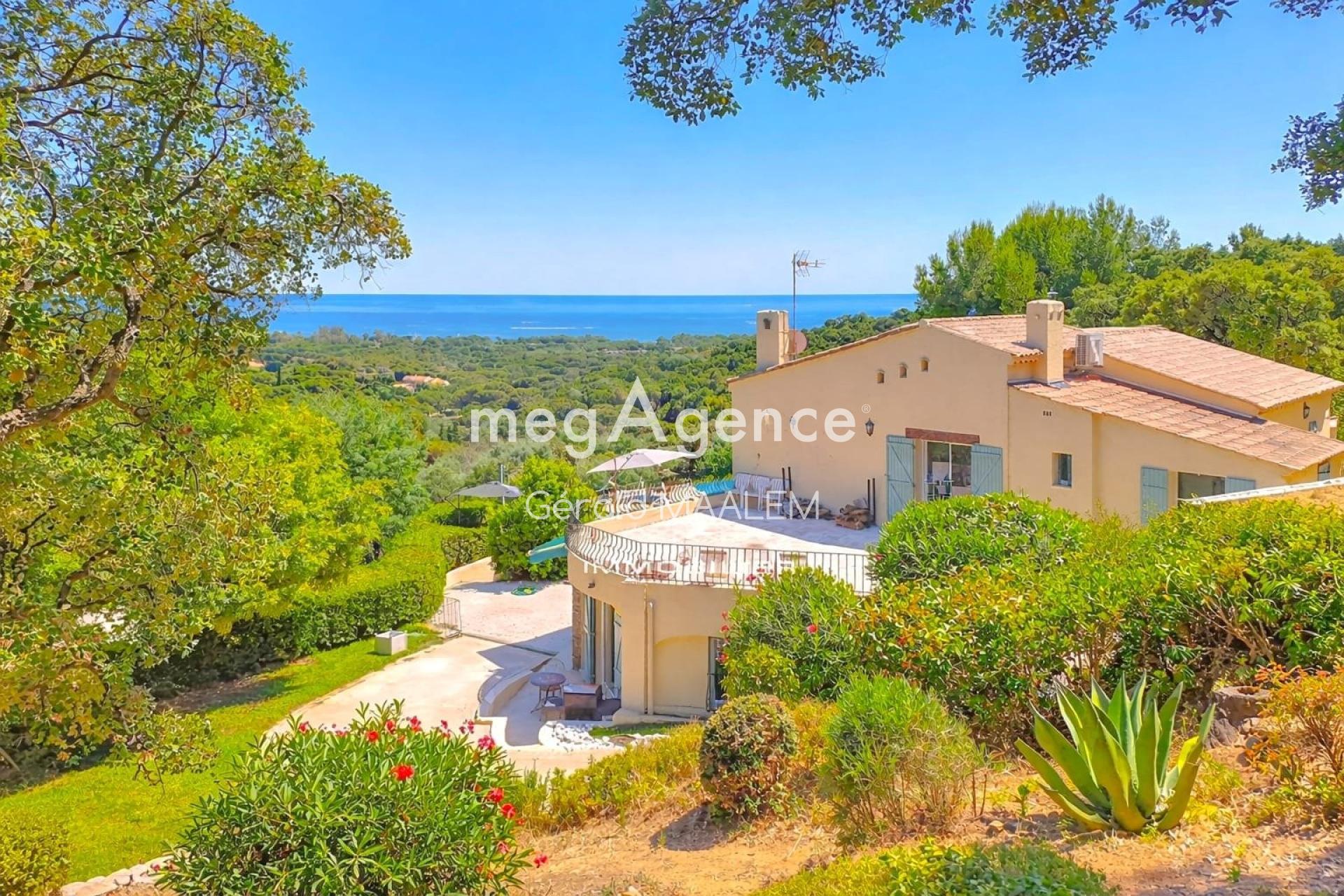 Miniature photo - 2 / 20