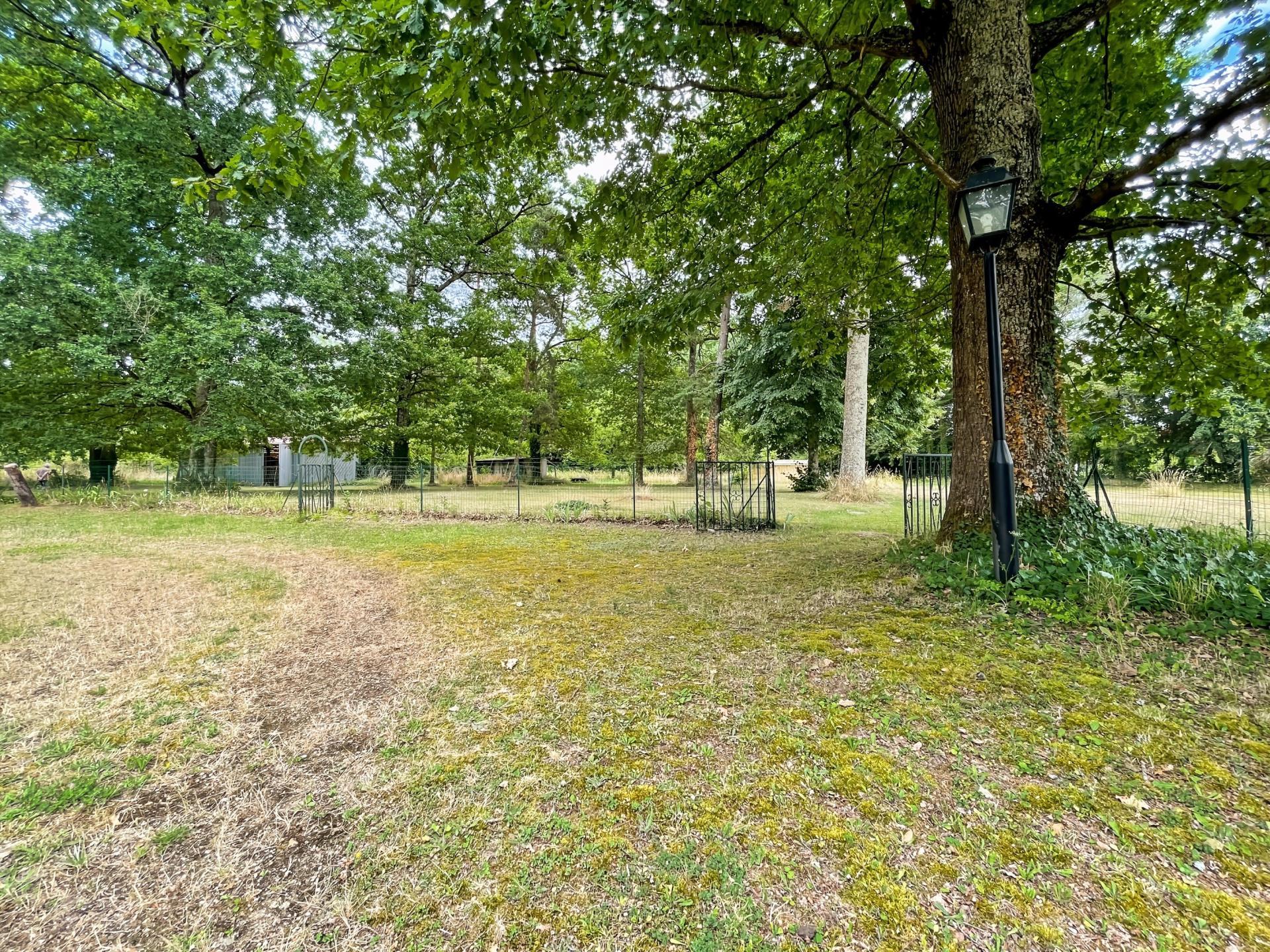 Miniature photo - 10 / 10