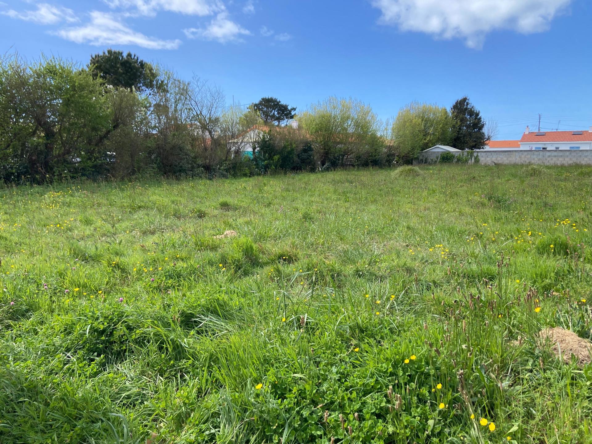 Photographie descriptive du bien