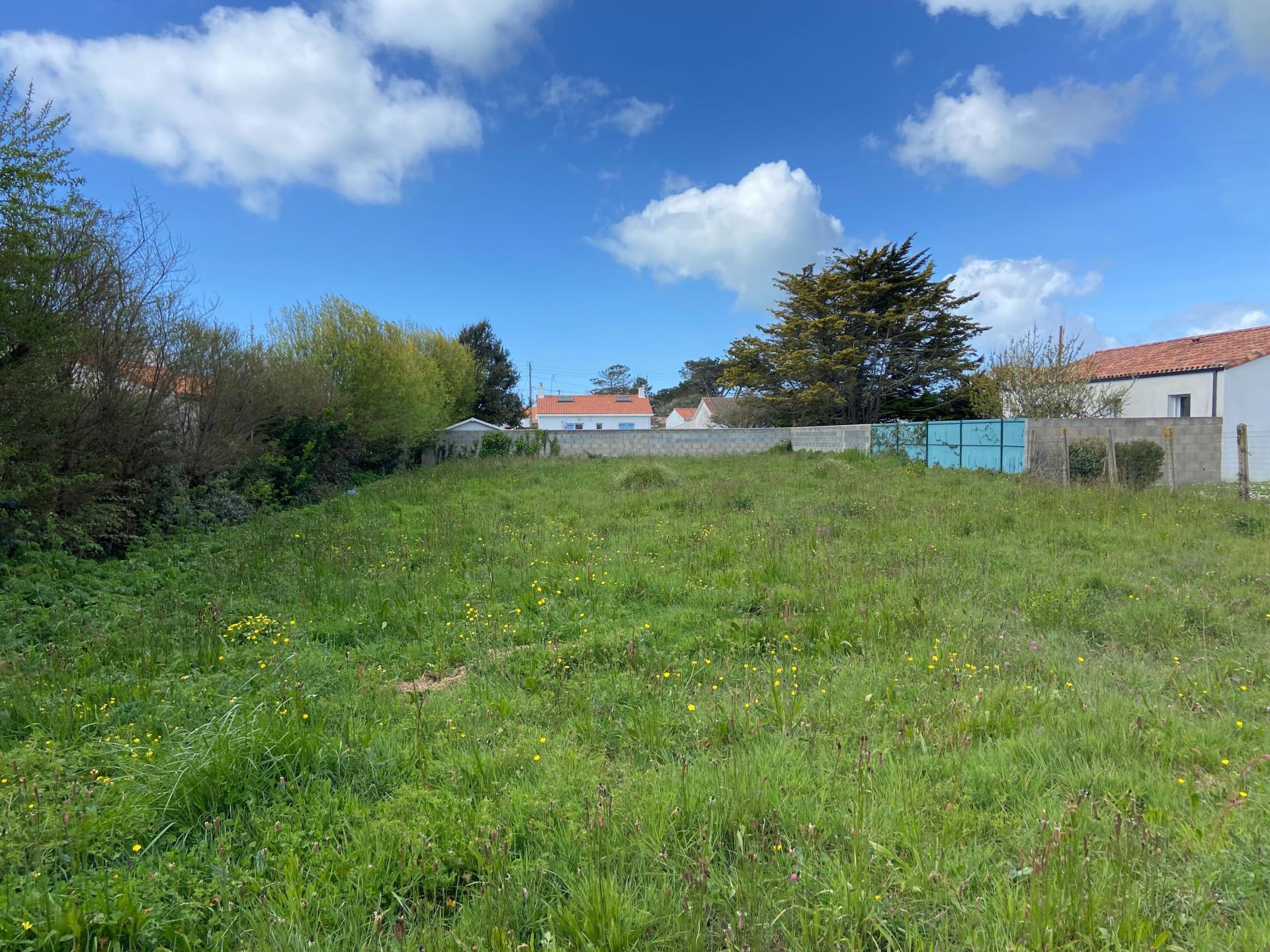 Miniature photo - 2 / 3