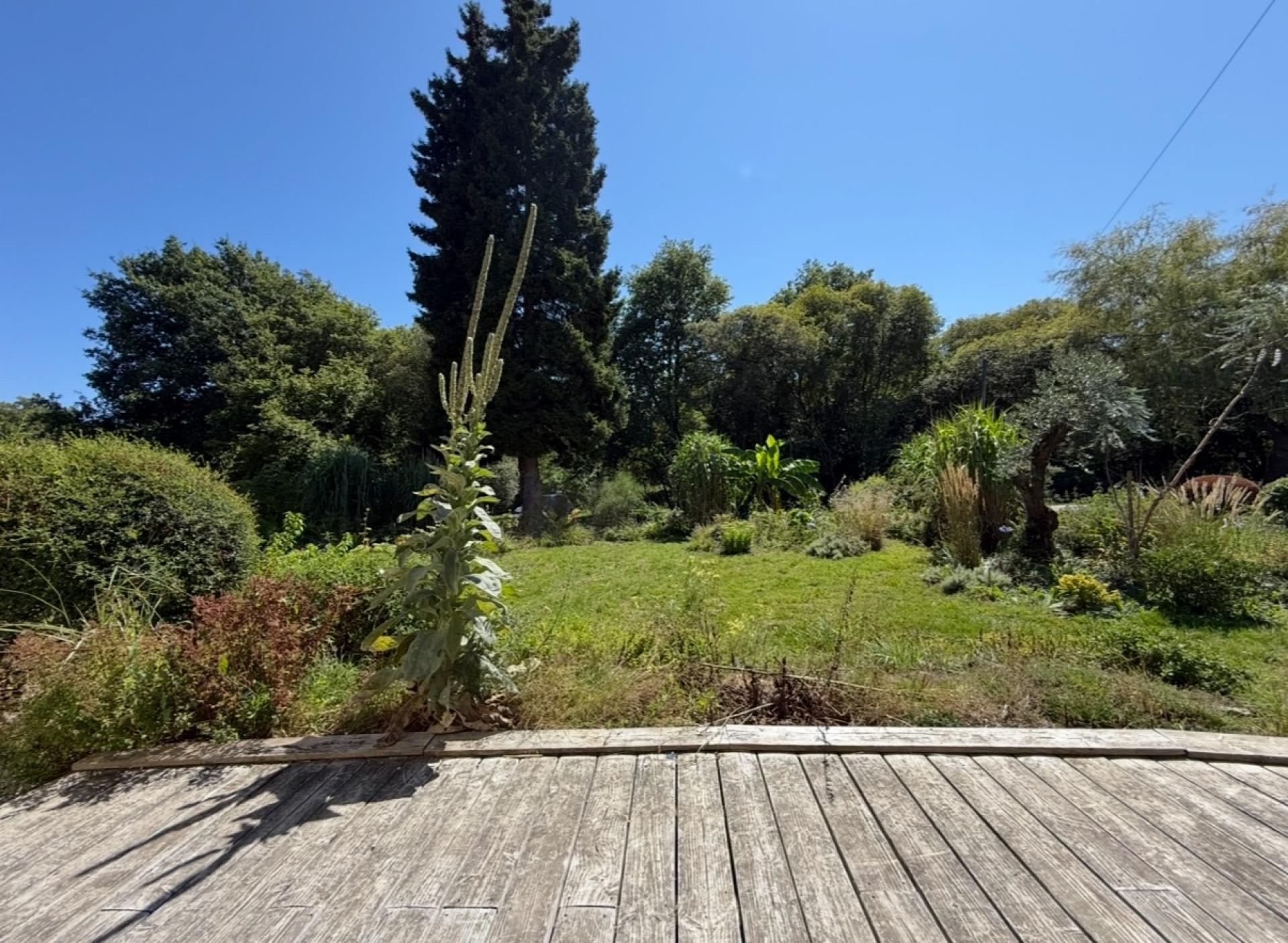 Miniature photo - 10 / 18