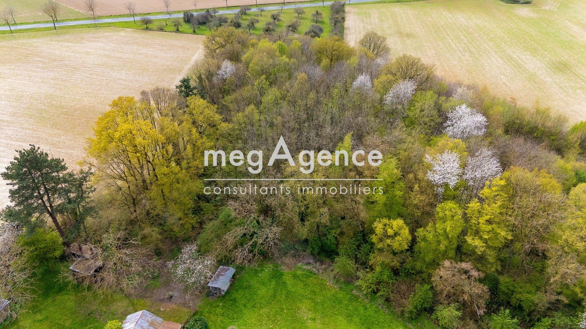 Miniature photo - 4 / 9