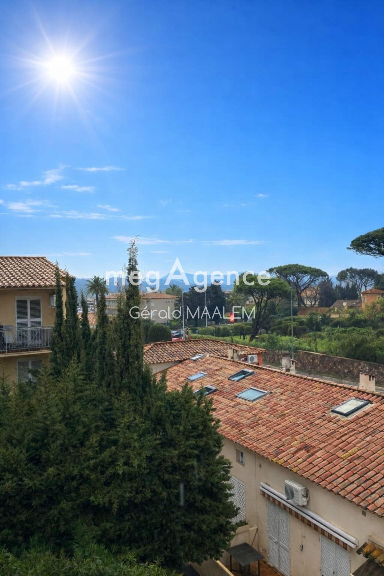 Miniature photo - 8 / 8