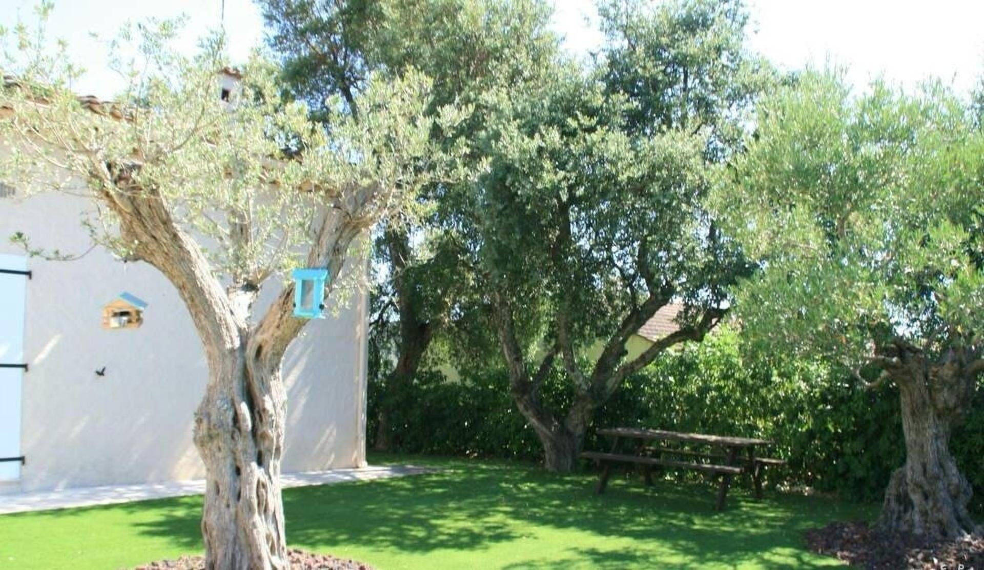 Miniature photo - 8 / 10