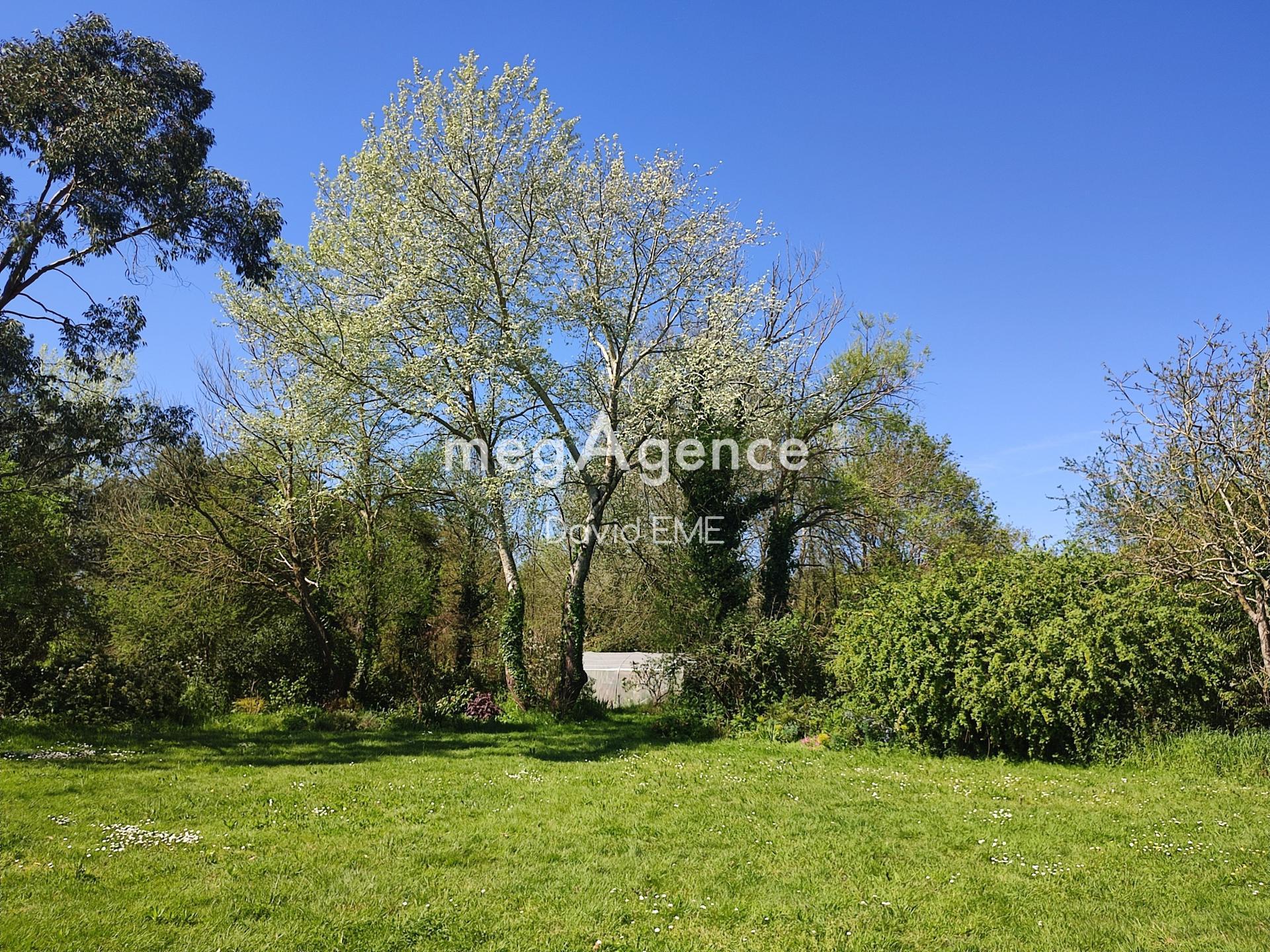 Miniature photo - 4 / 14