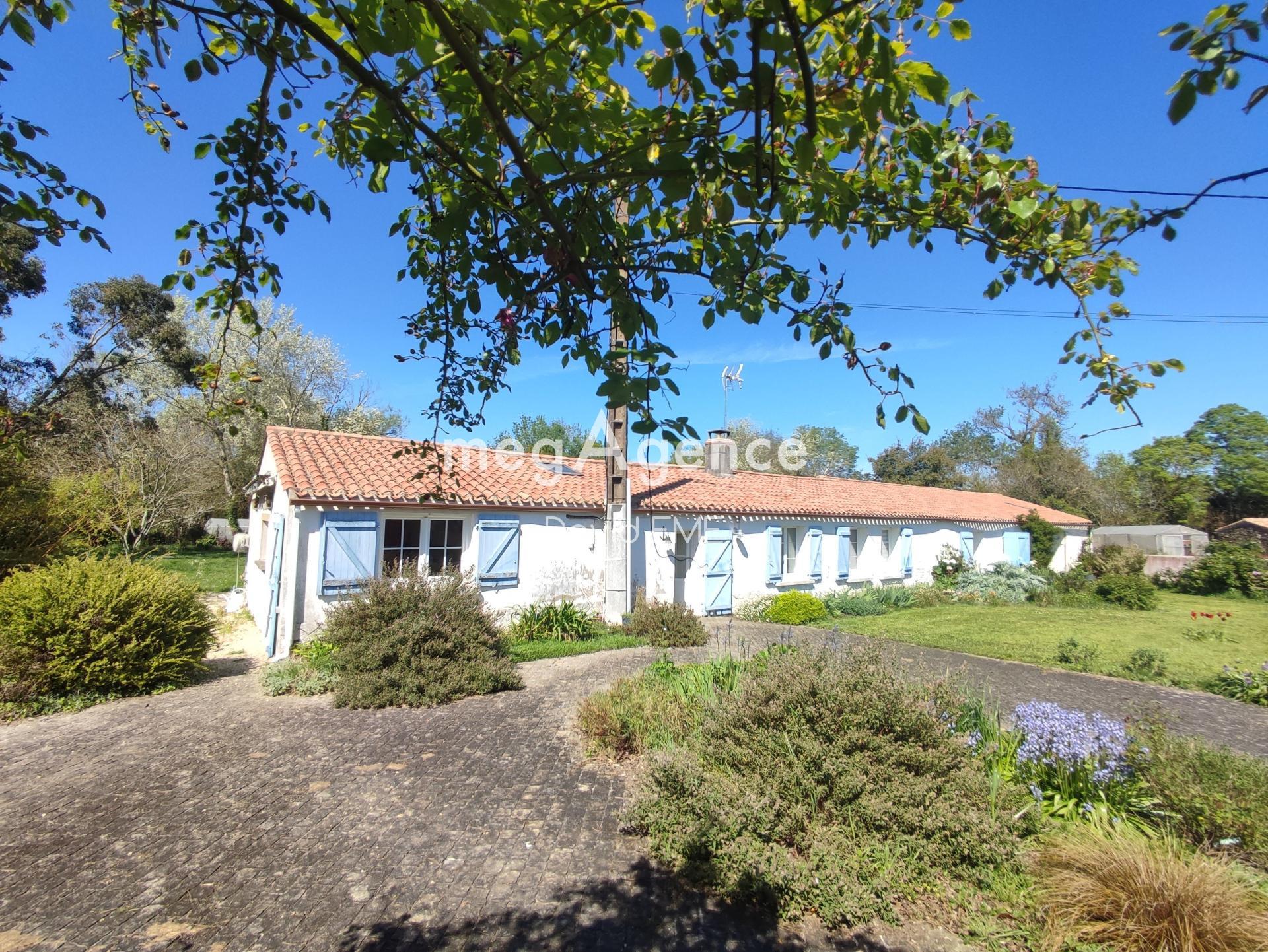 Miniature photo - 14 / 14