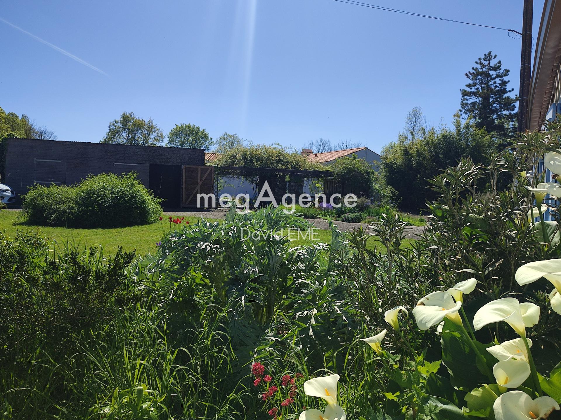 Miniature photo - 3 / 14