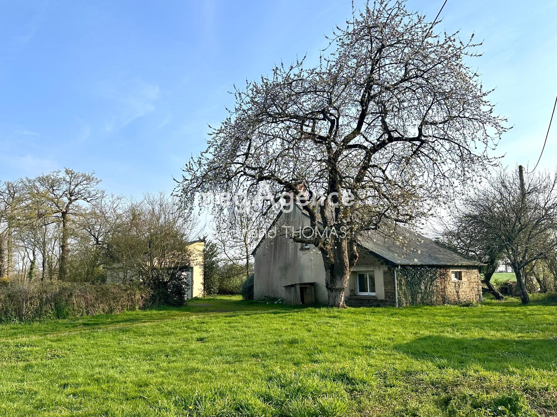 Miniature photo - 2 / 15