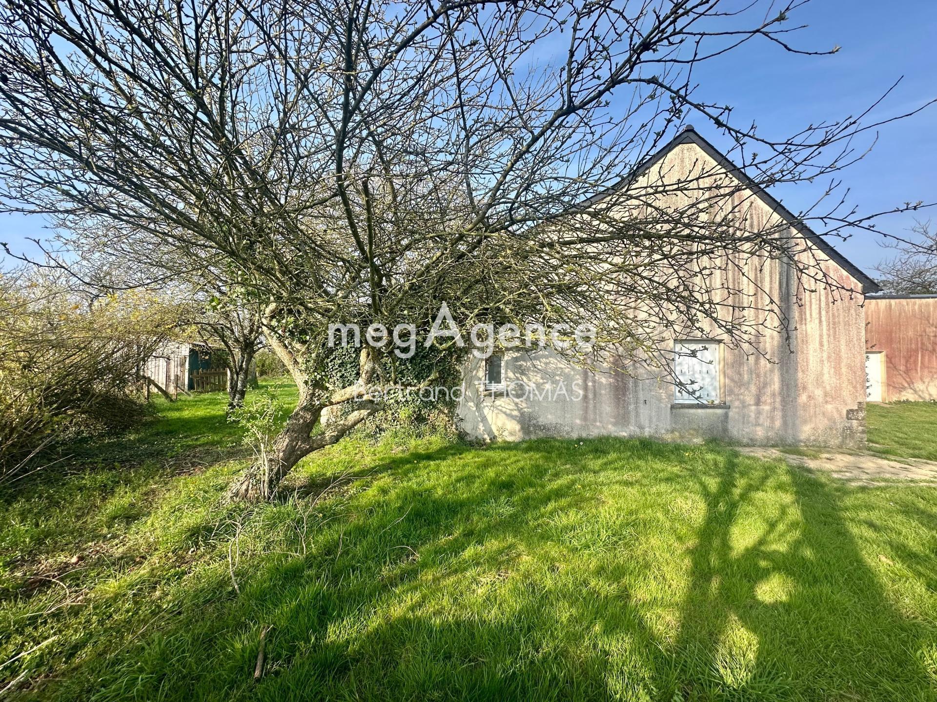 Miniature photo - 4 / 15