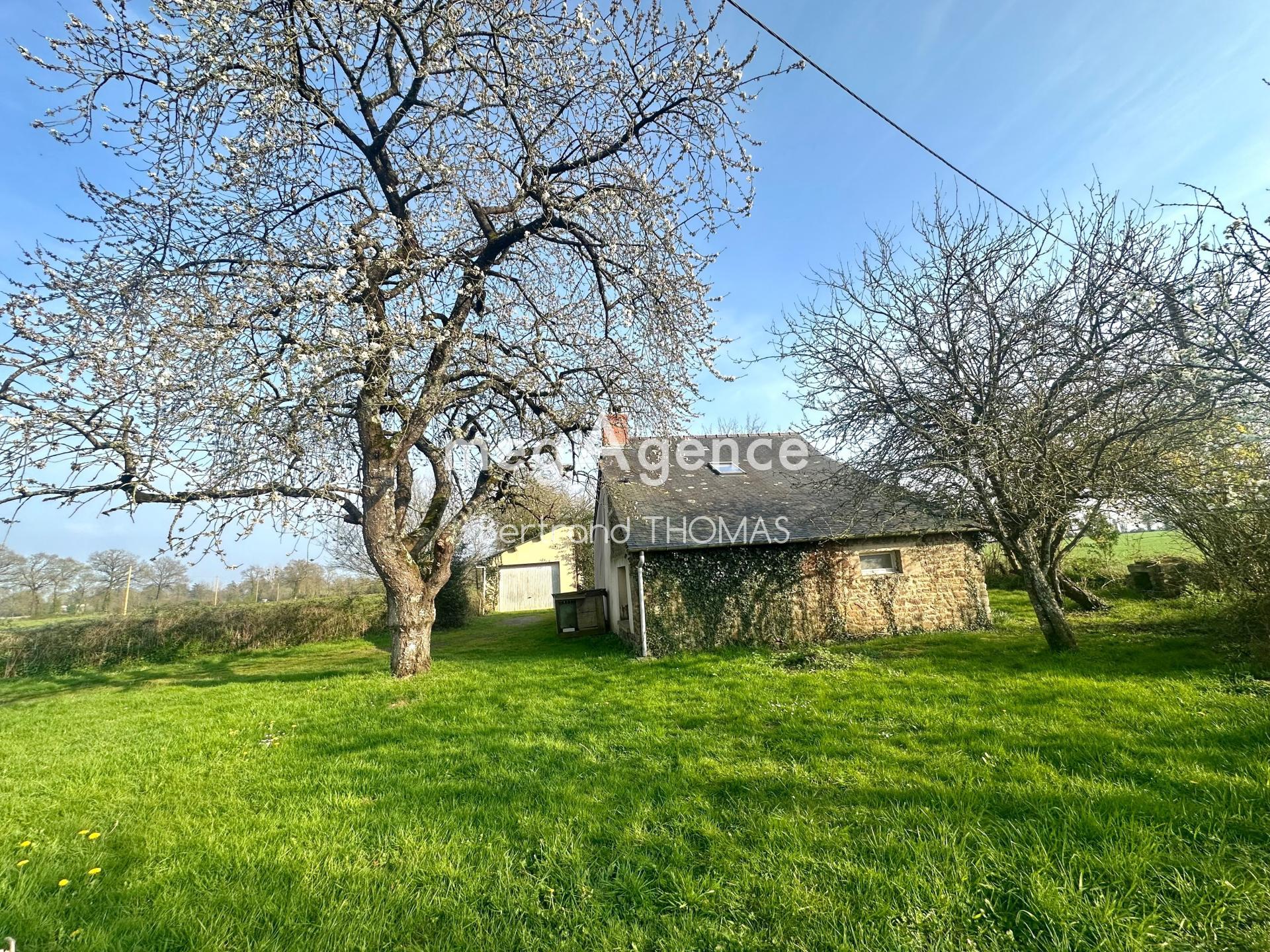 Miniature photo - 3 / 15