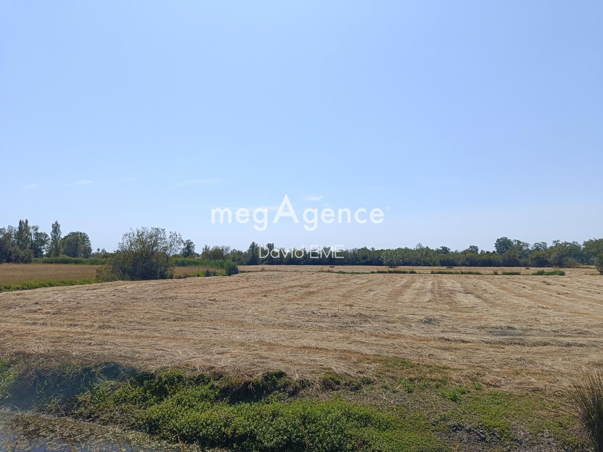 Miniature photo - 14 / 14