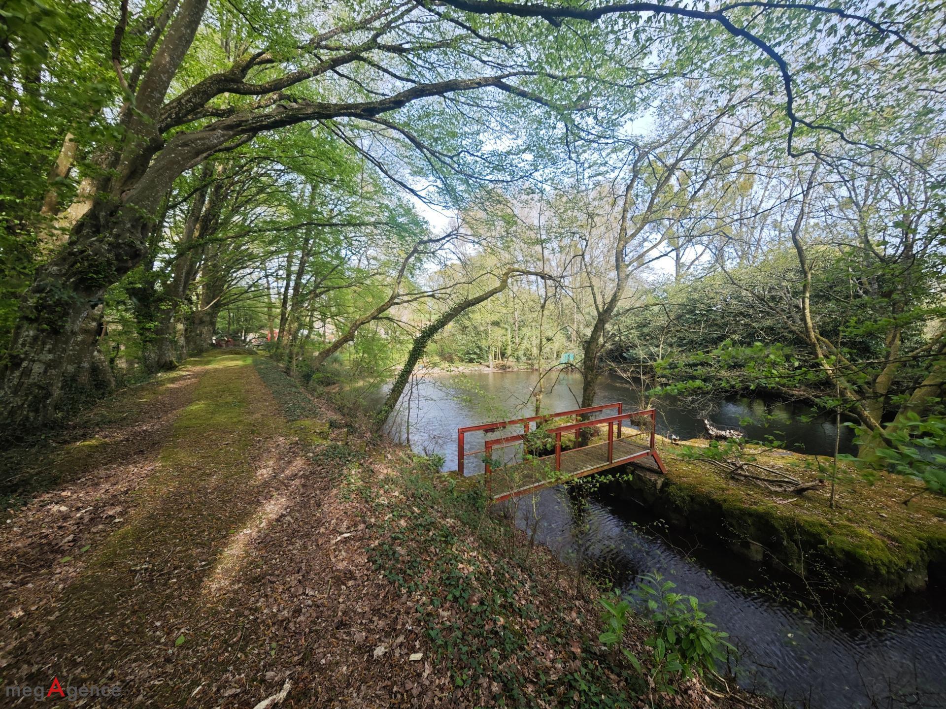 Miniature photo - 5 / 17