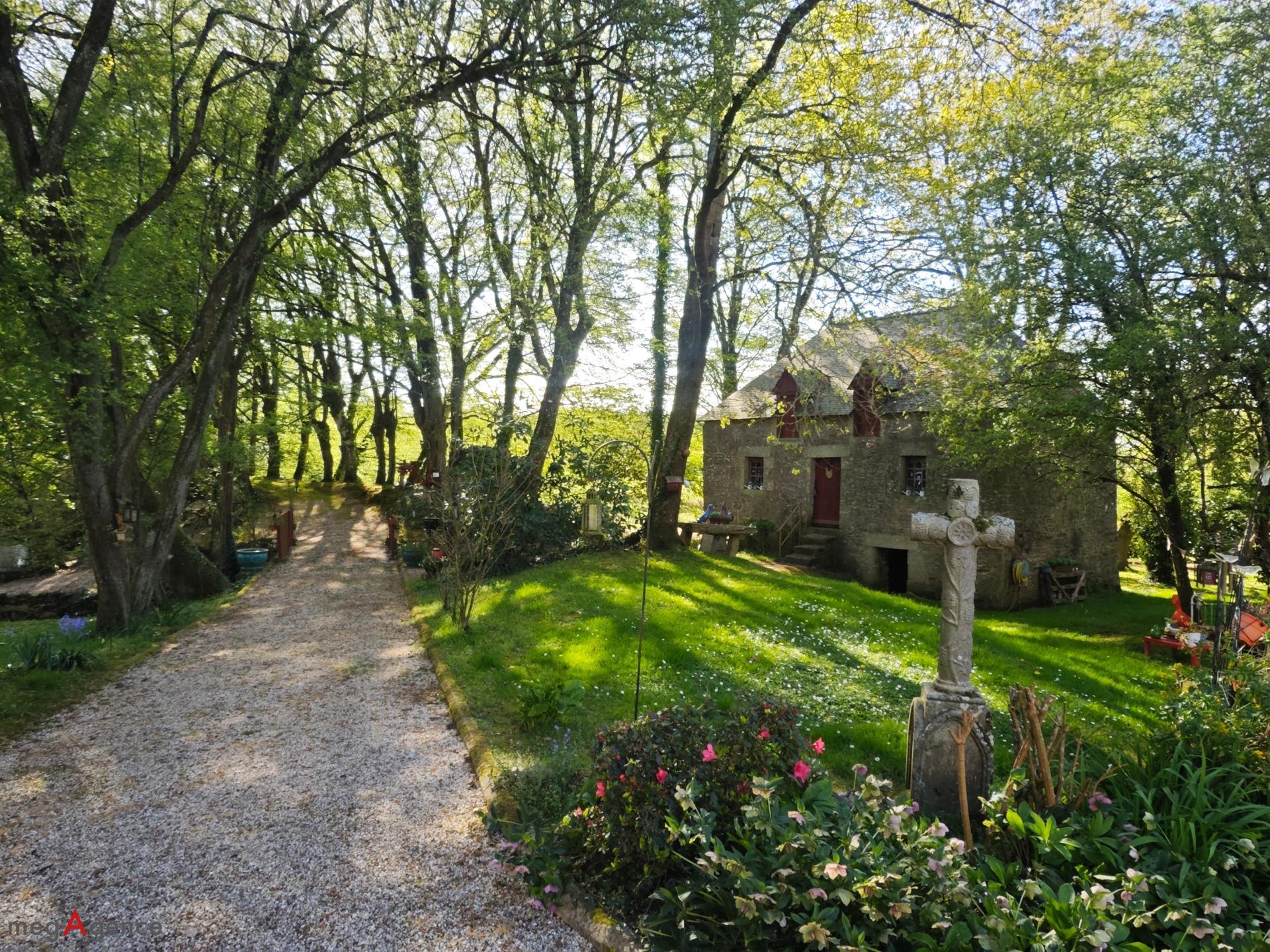 Miniature photo - 4 / 17