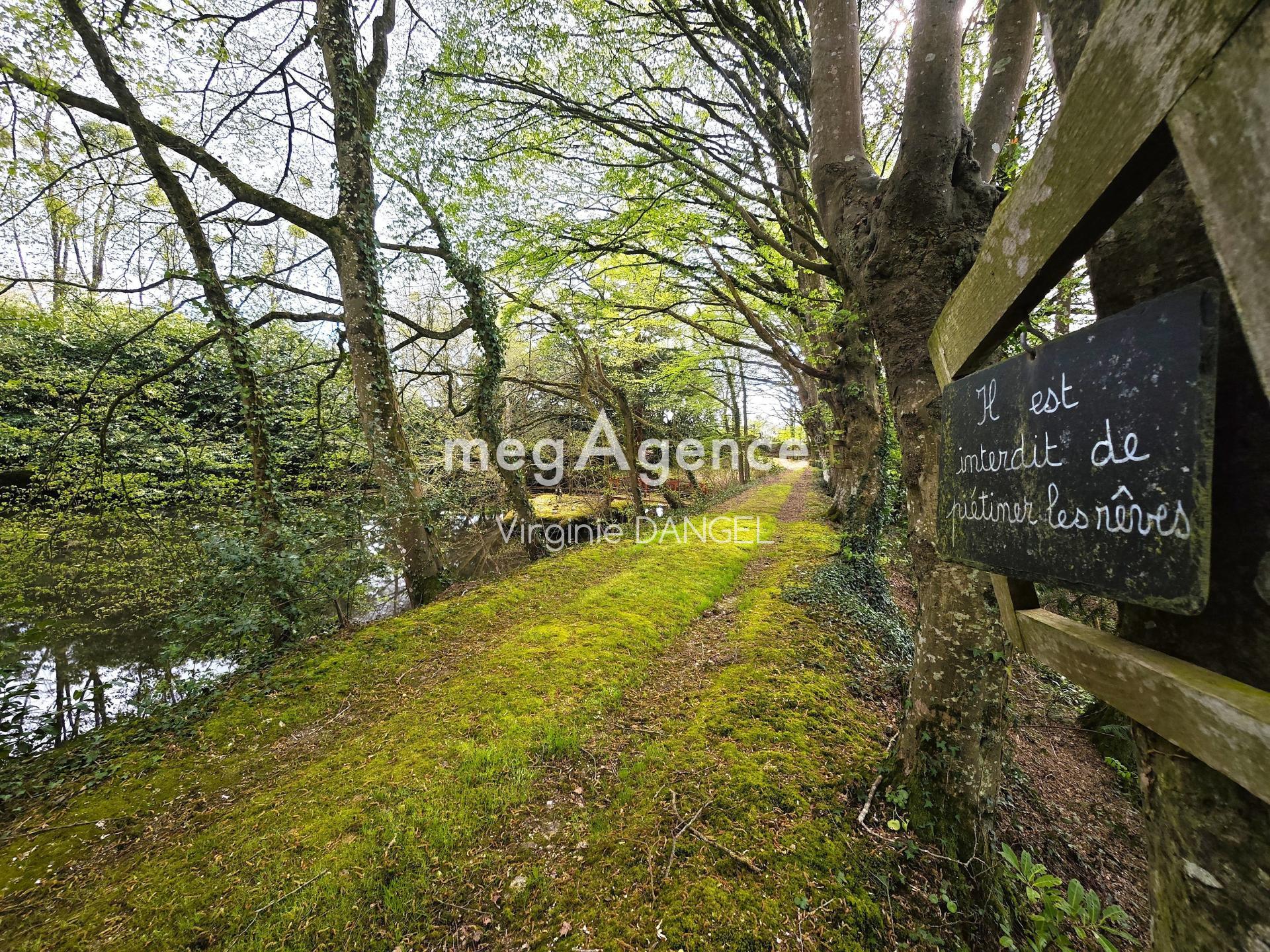 Miniature photo - 17 / 17