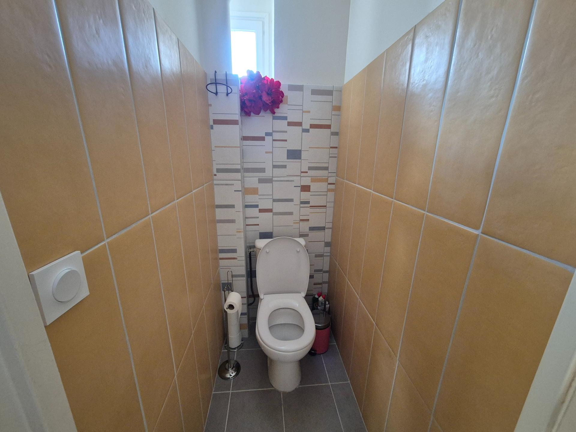 Miniature photo - 11 / 17