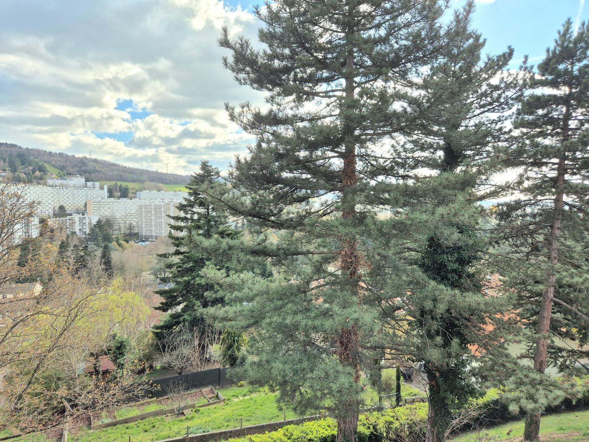 Miniature photo - 17 / 17