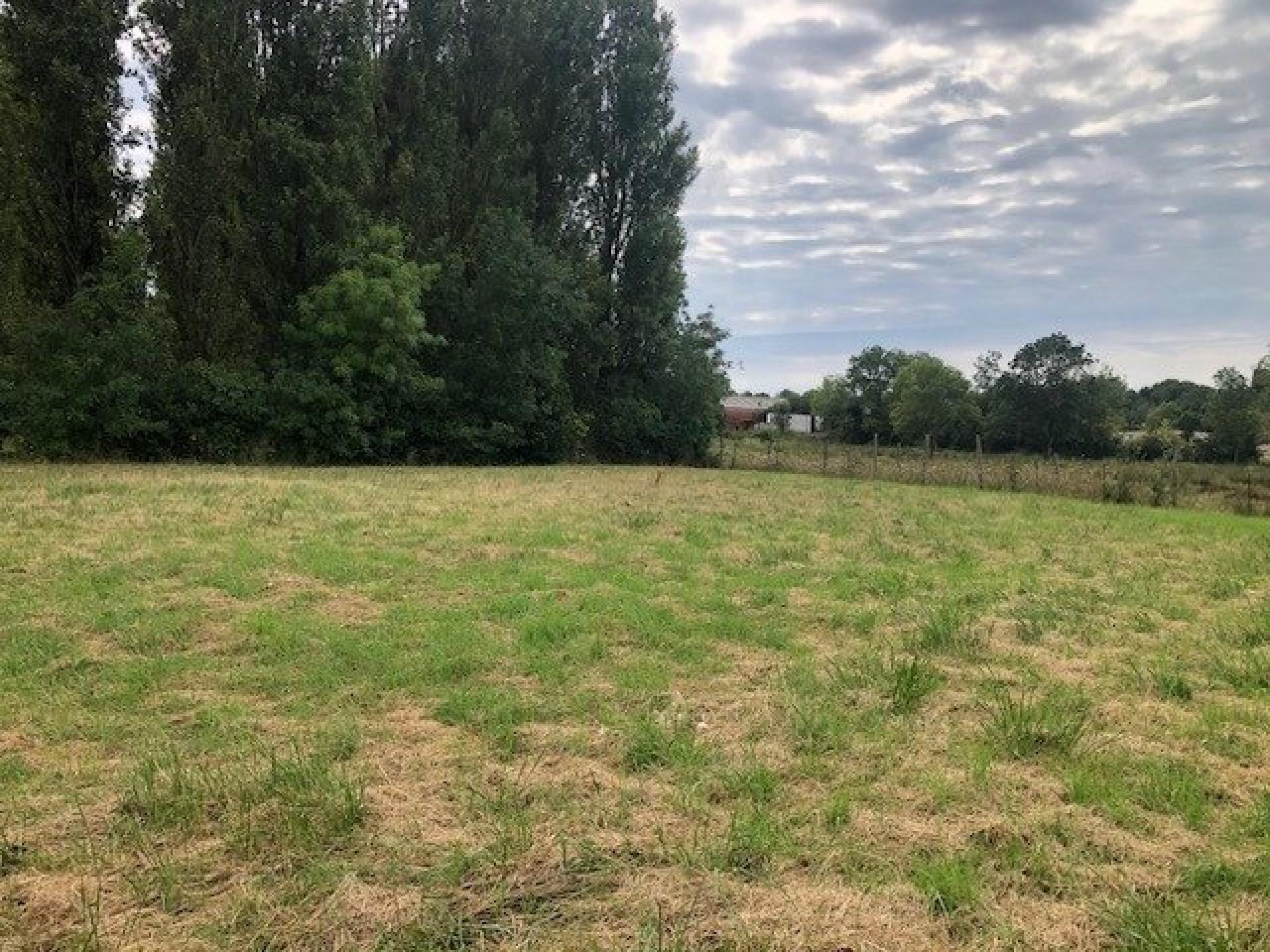 Miniature photo - 15 / 18