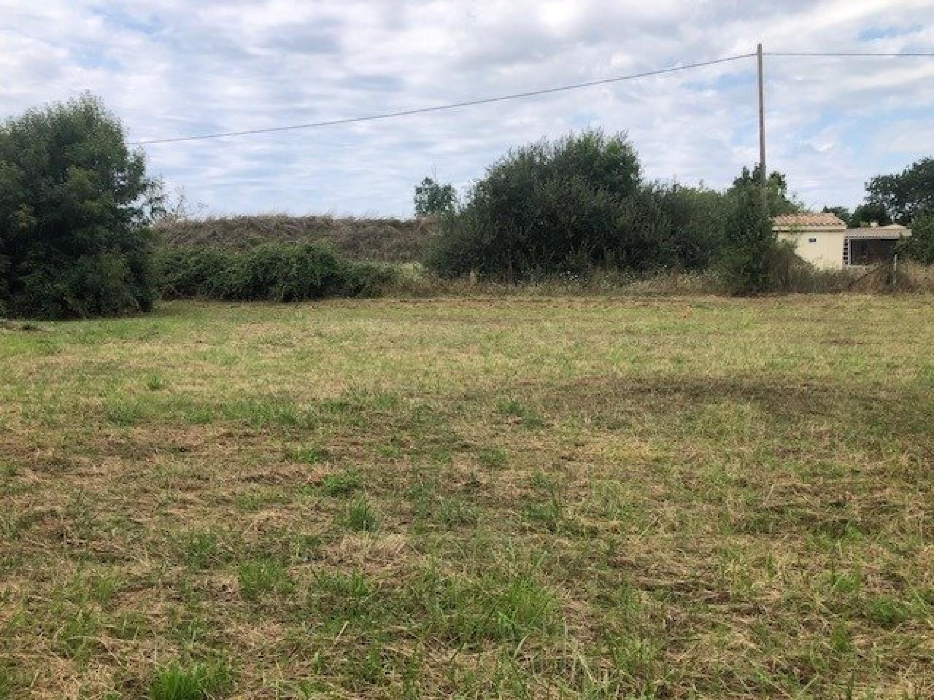 Miniature photo - 3 / 18