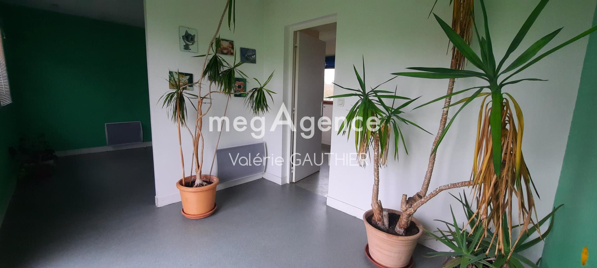 Miniature photo - 3 / 9