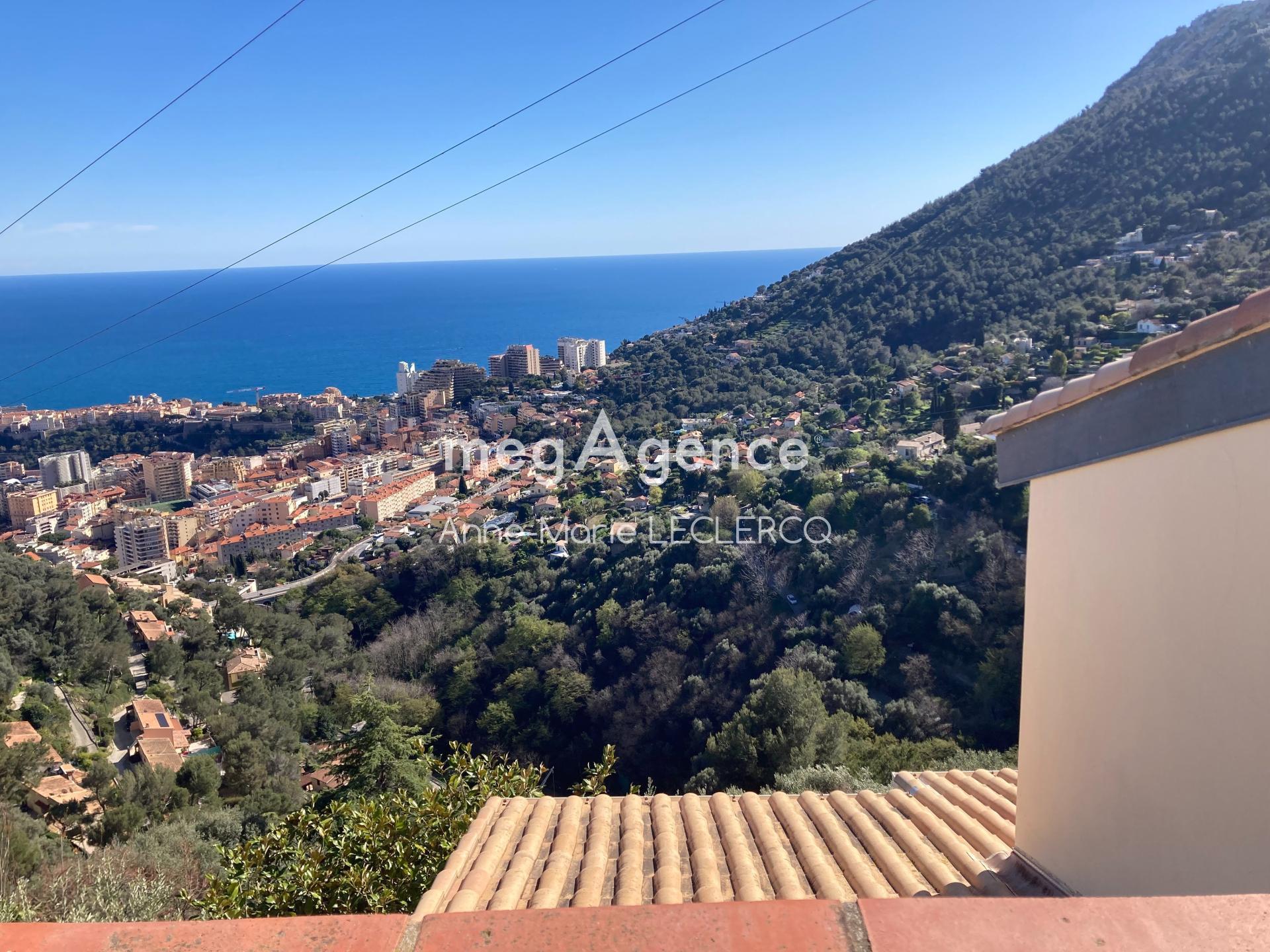 Miniature photo - 2 / 14