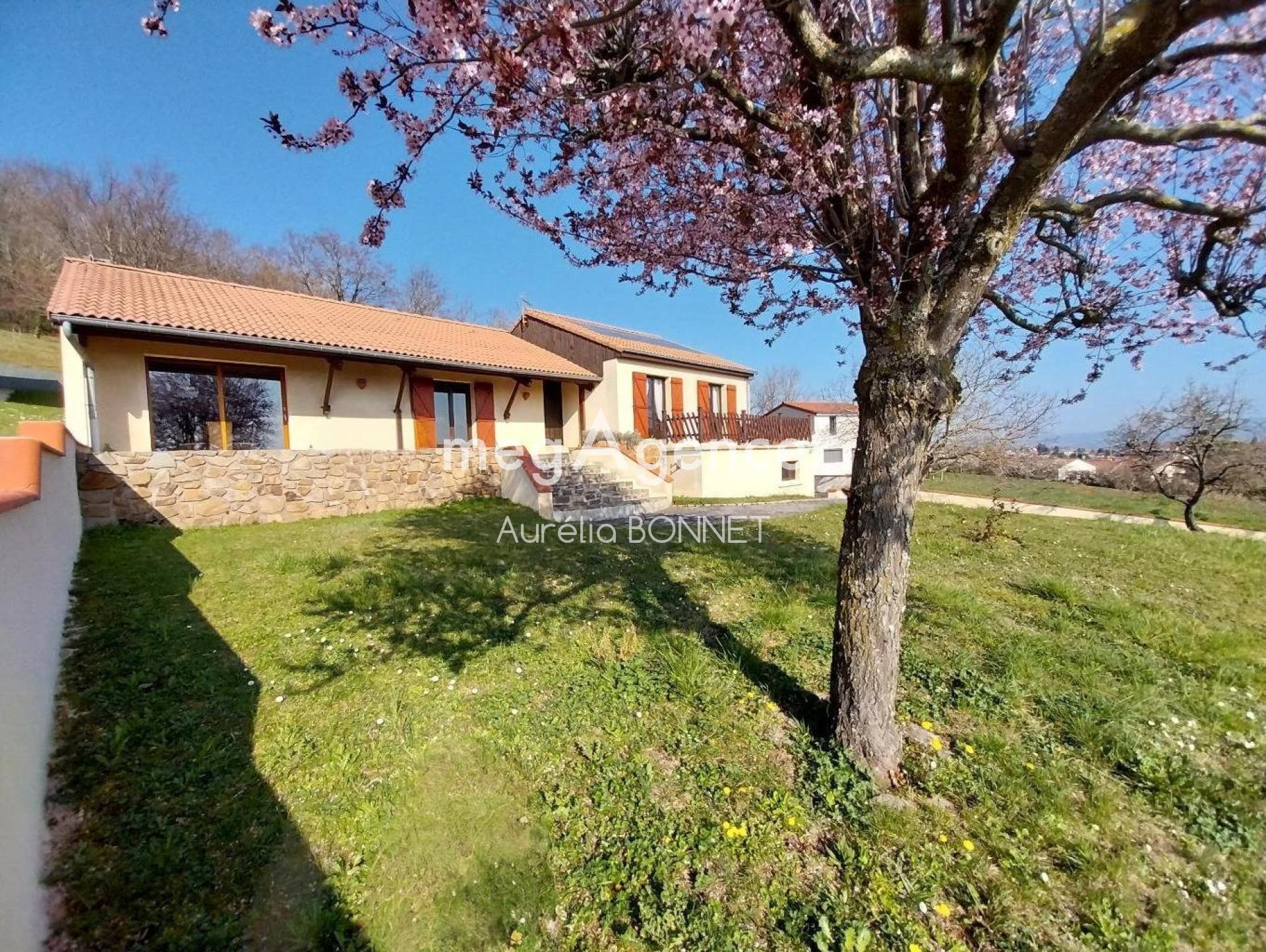 Miniature photo - 10 / 10