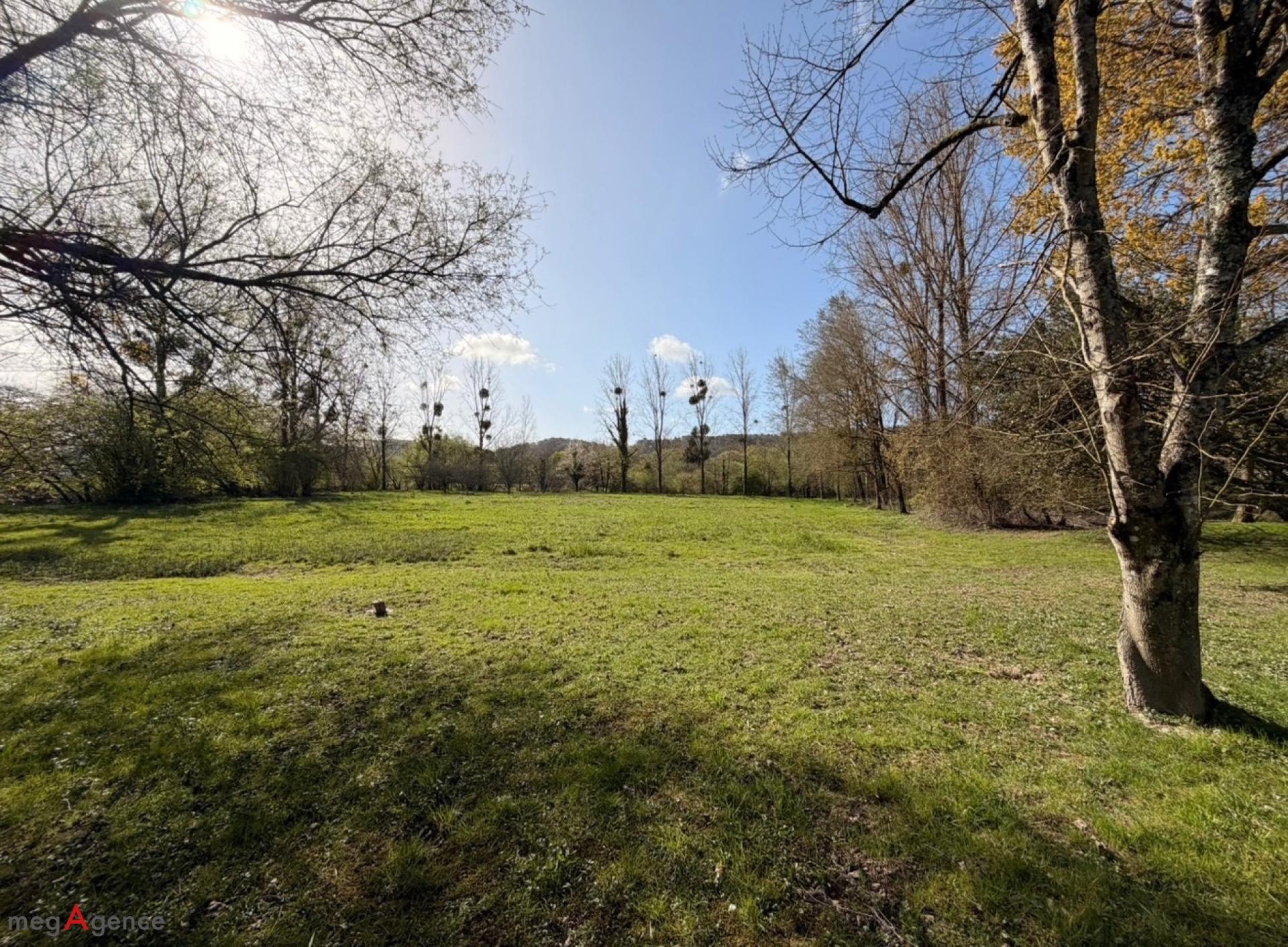 Miniature photo - 3 / 15