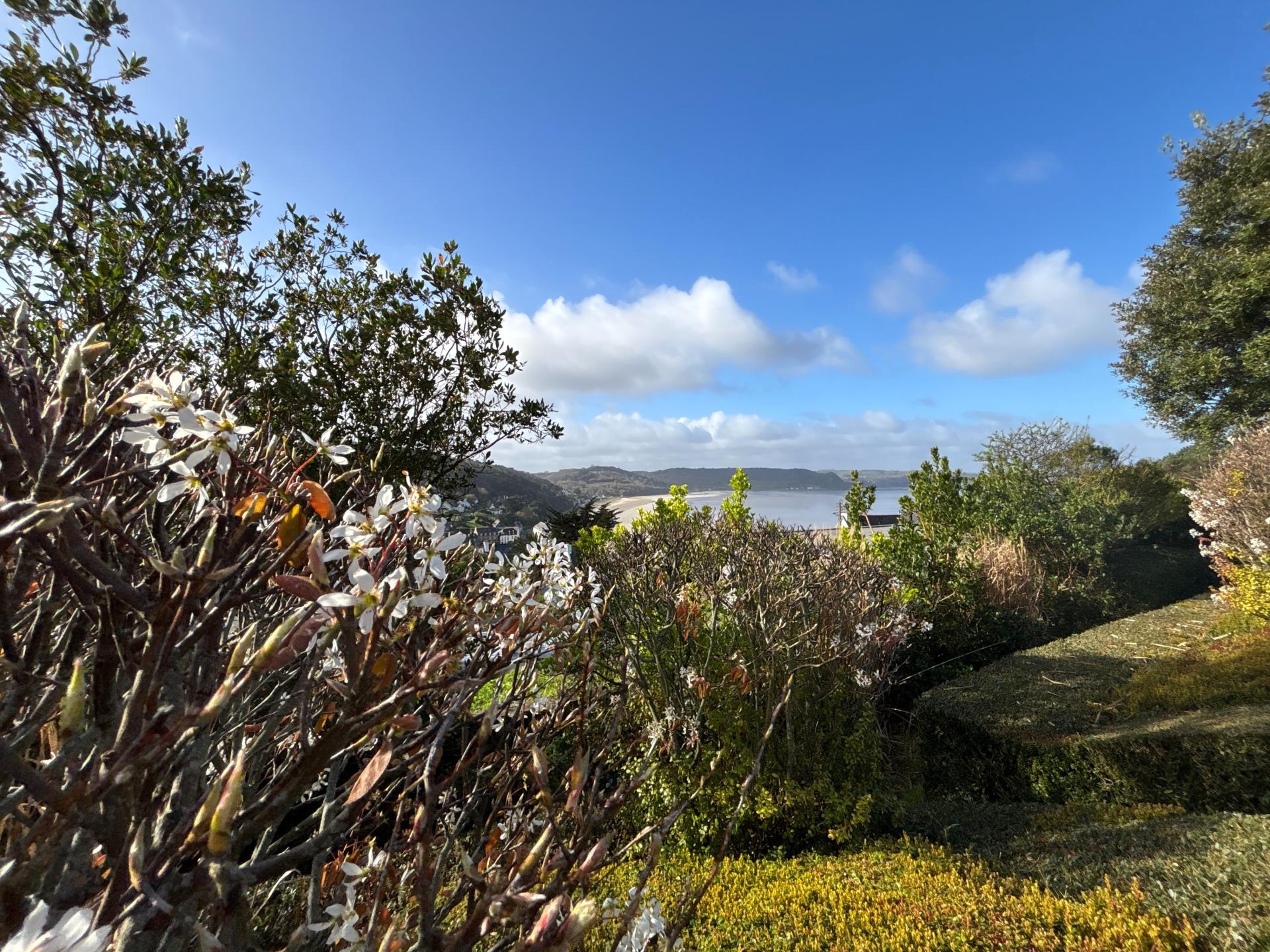 Miniature photo - 3 / 17