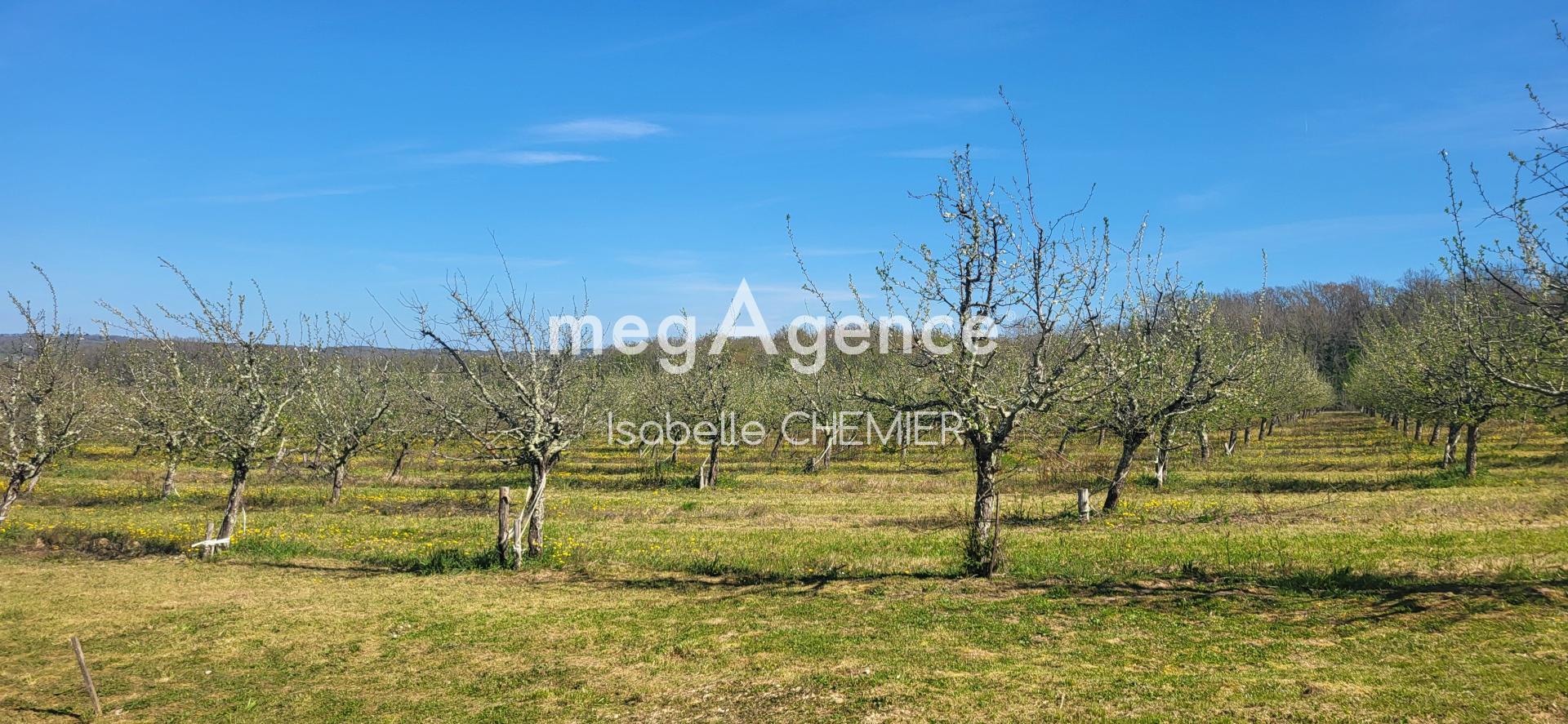 Miniature photo - 2 / 6