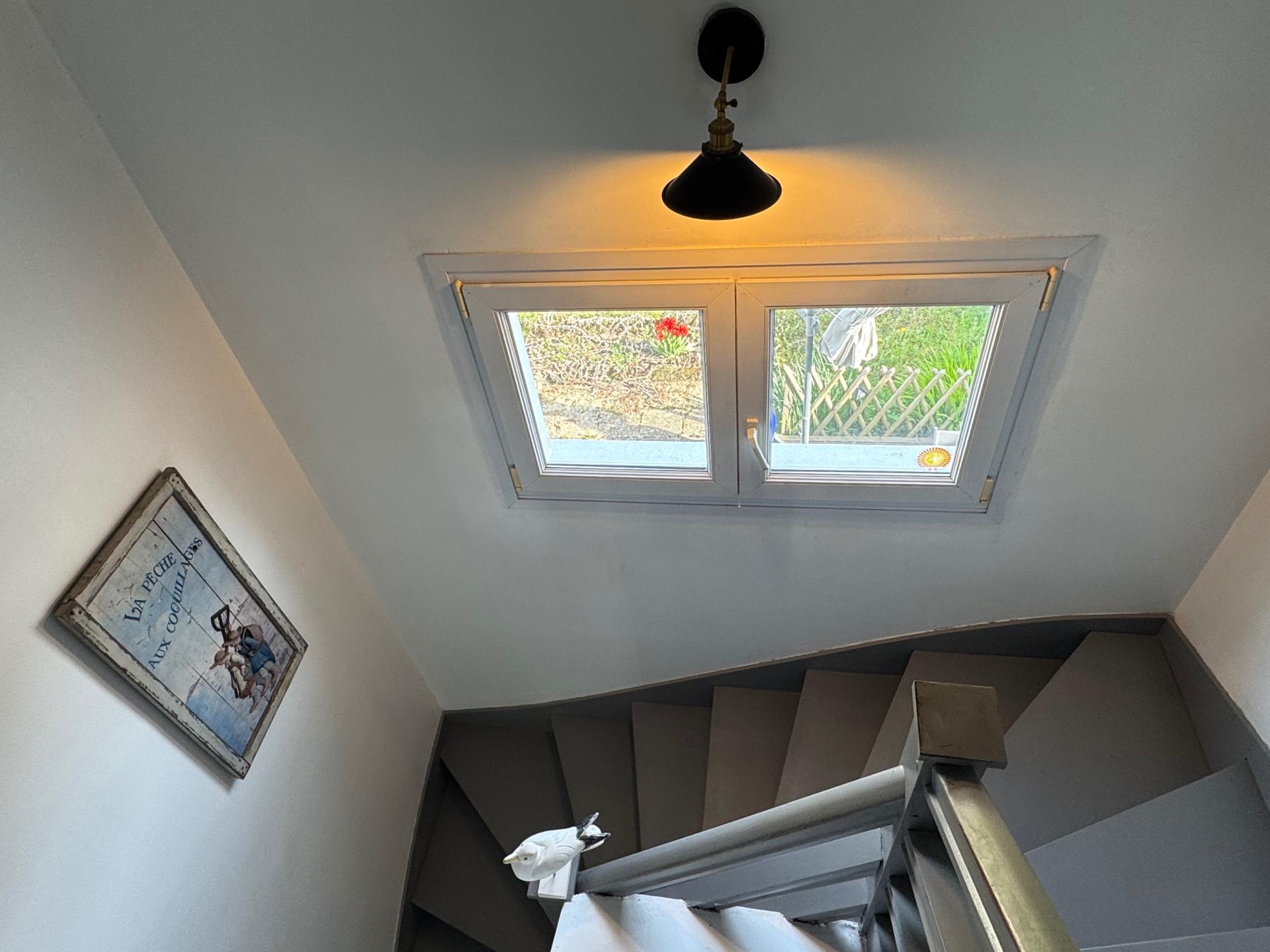 Miniature photo - 4 / 10