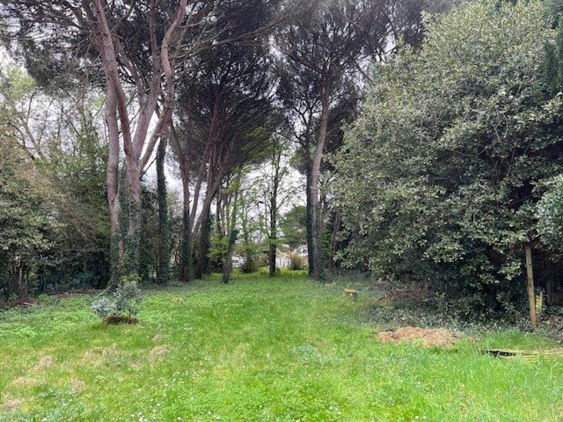 Miniature photo - 2 / 4