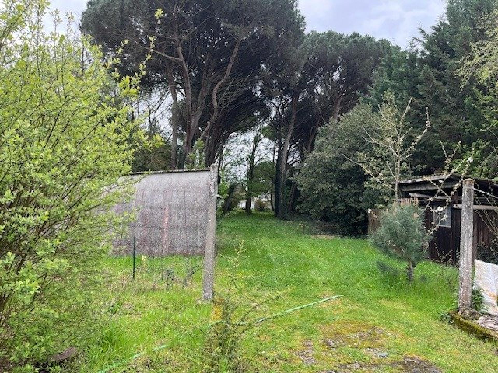 Miniature photo - 3 / 4