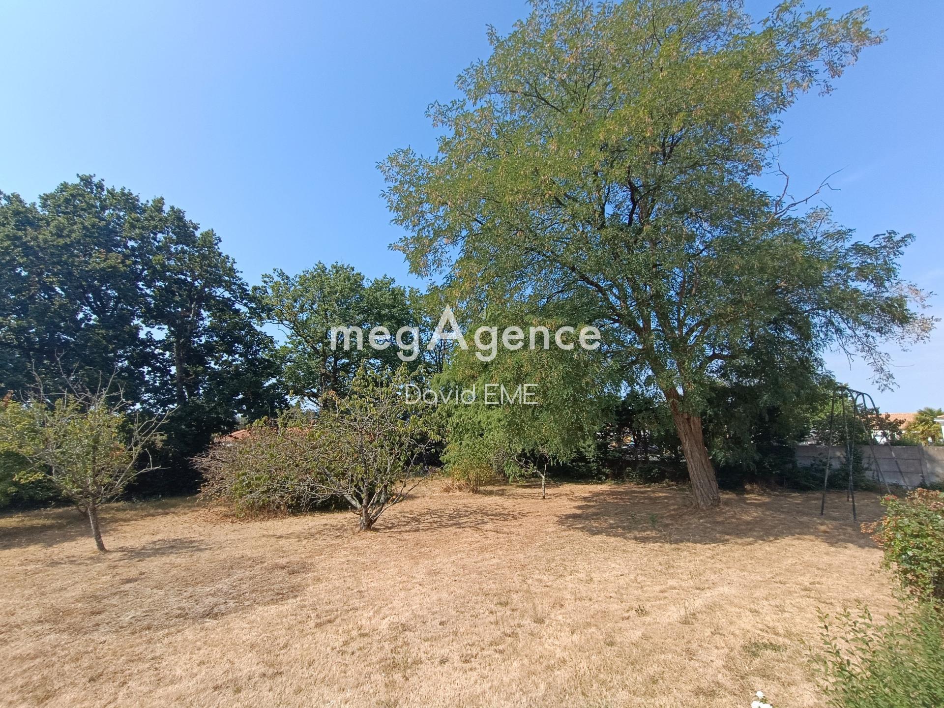 Miniature photo - 3 / 3