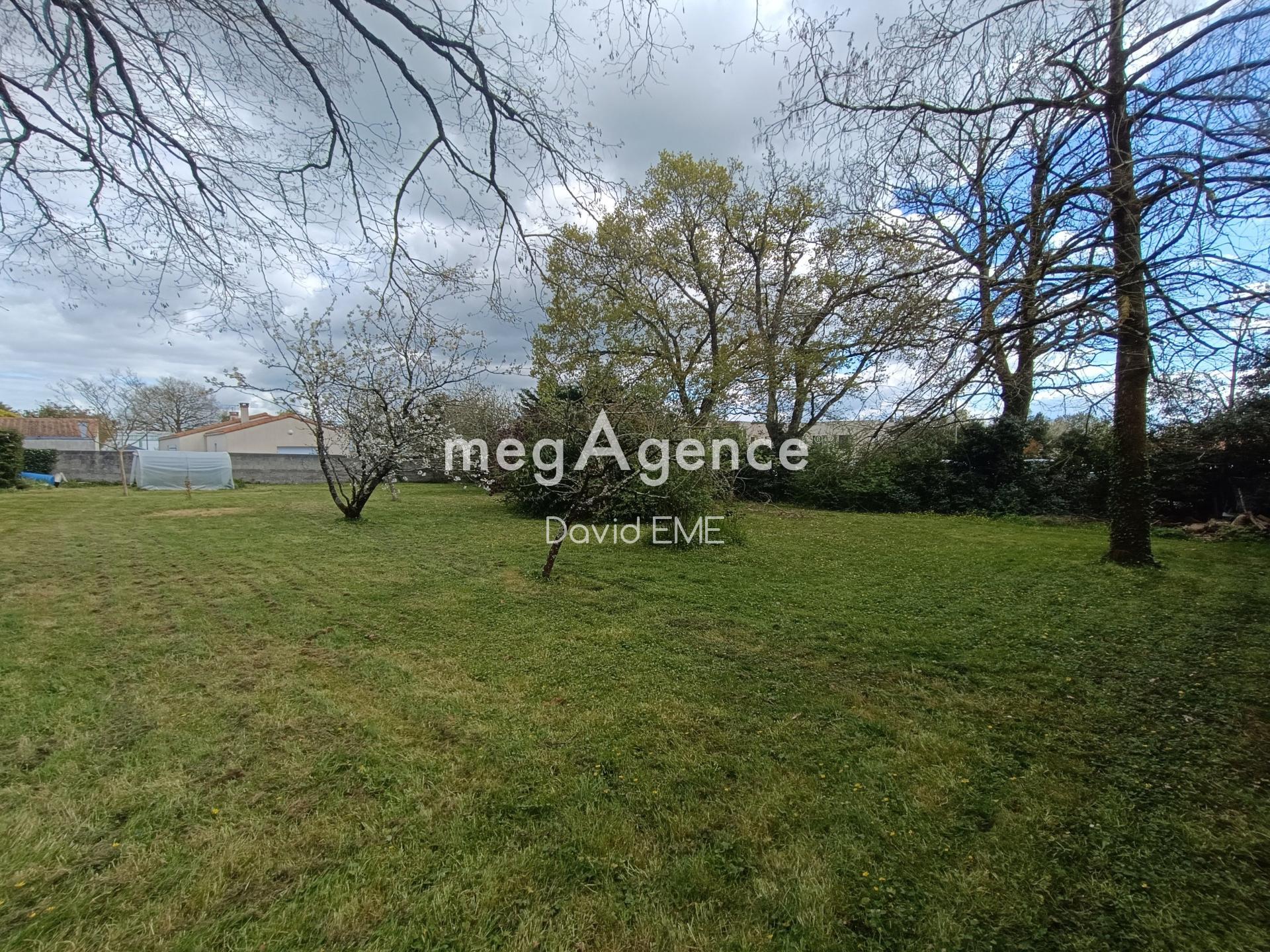 Miniature photo - 2 / 2