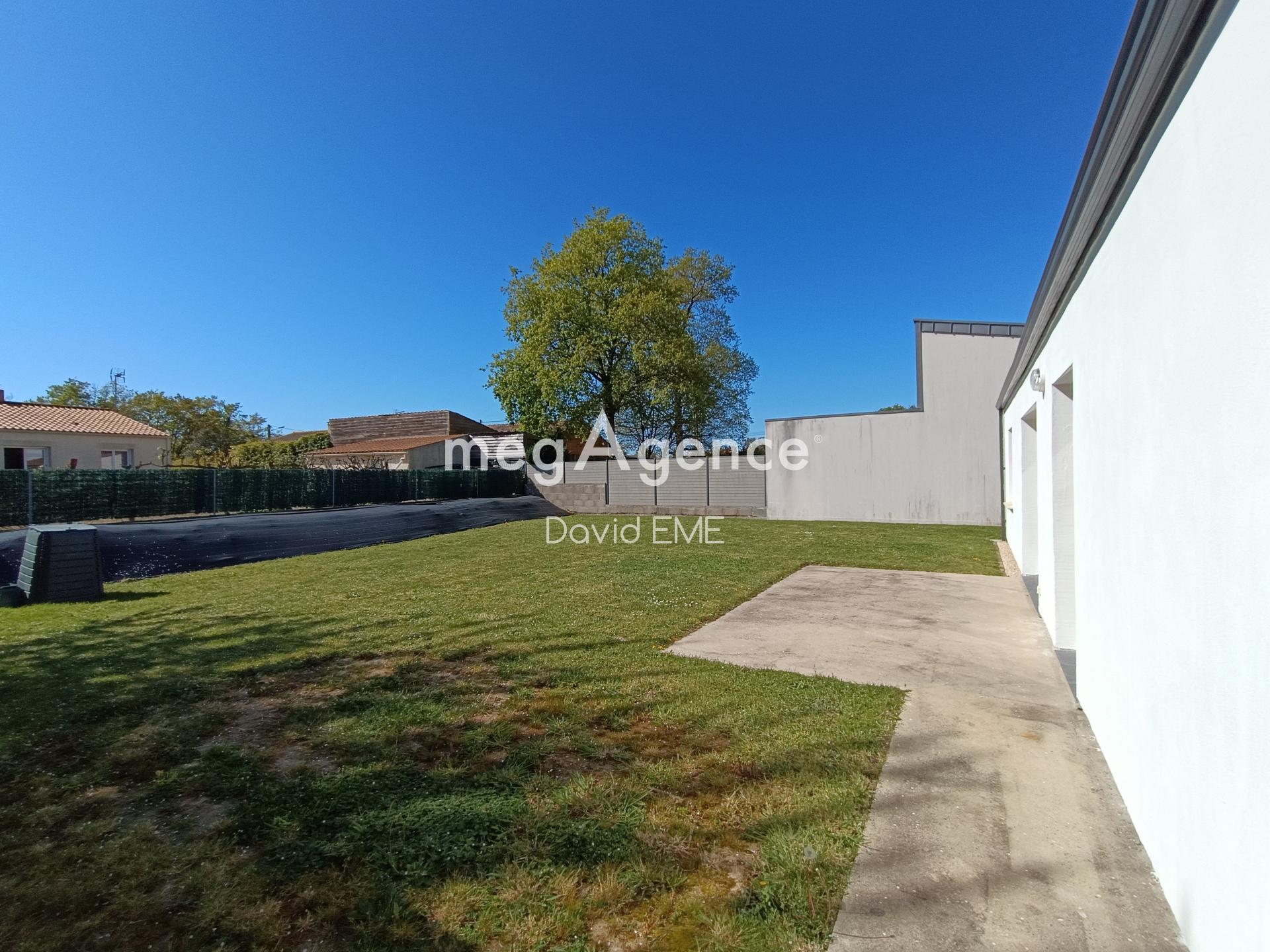 Miniature photo - 2 / 11