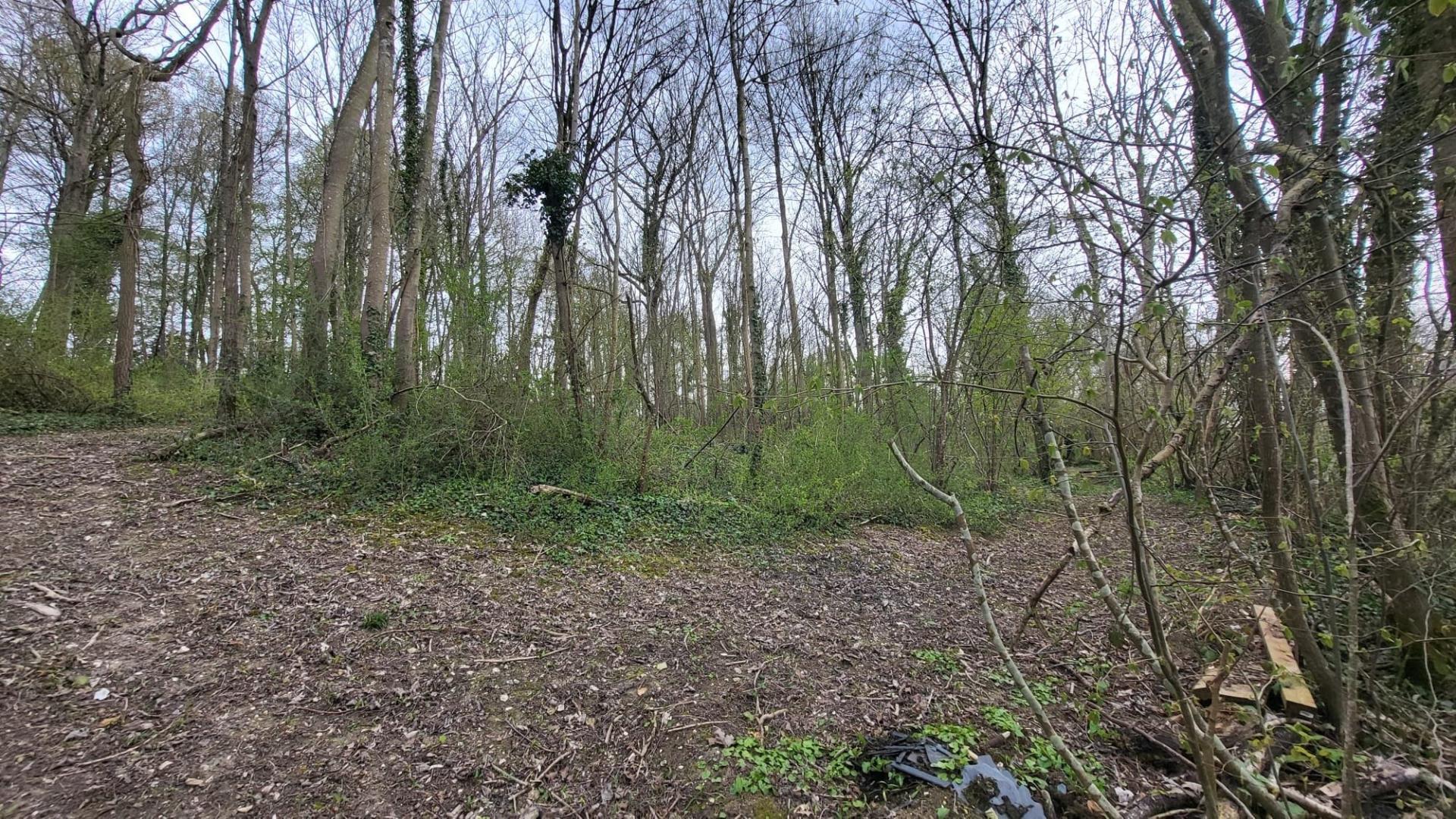 Miniature photo - 6 / 20