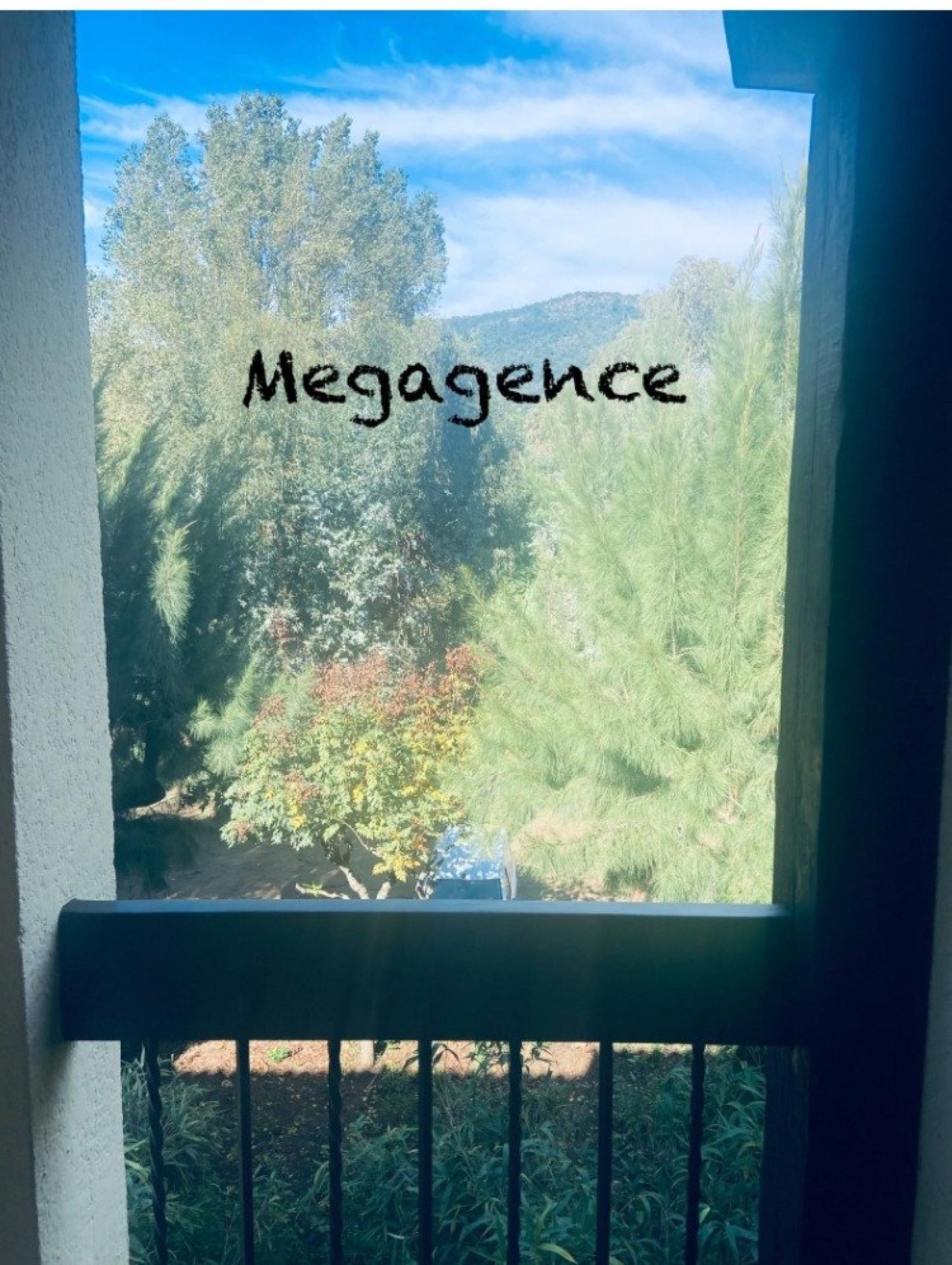 Miniature photo - 7 / 12