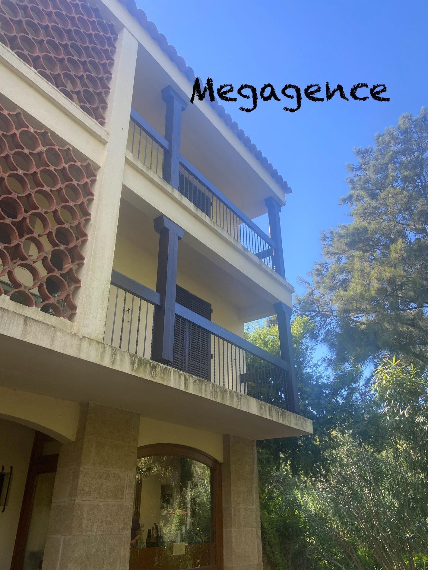 Miniature photo - 11 / 12