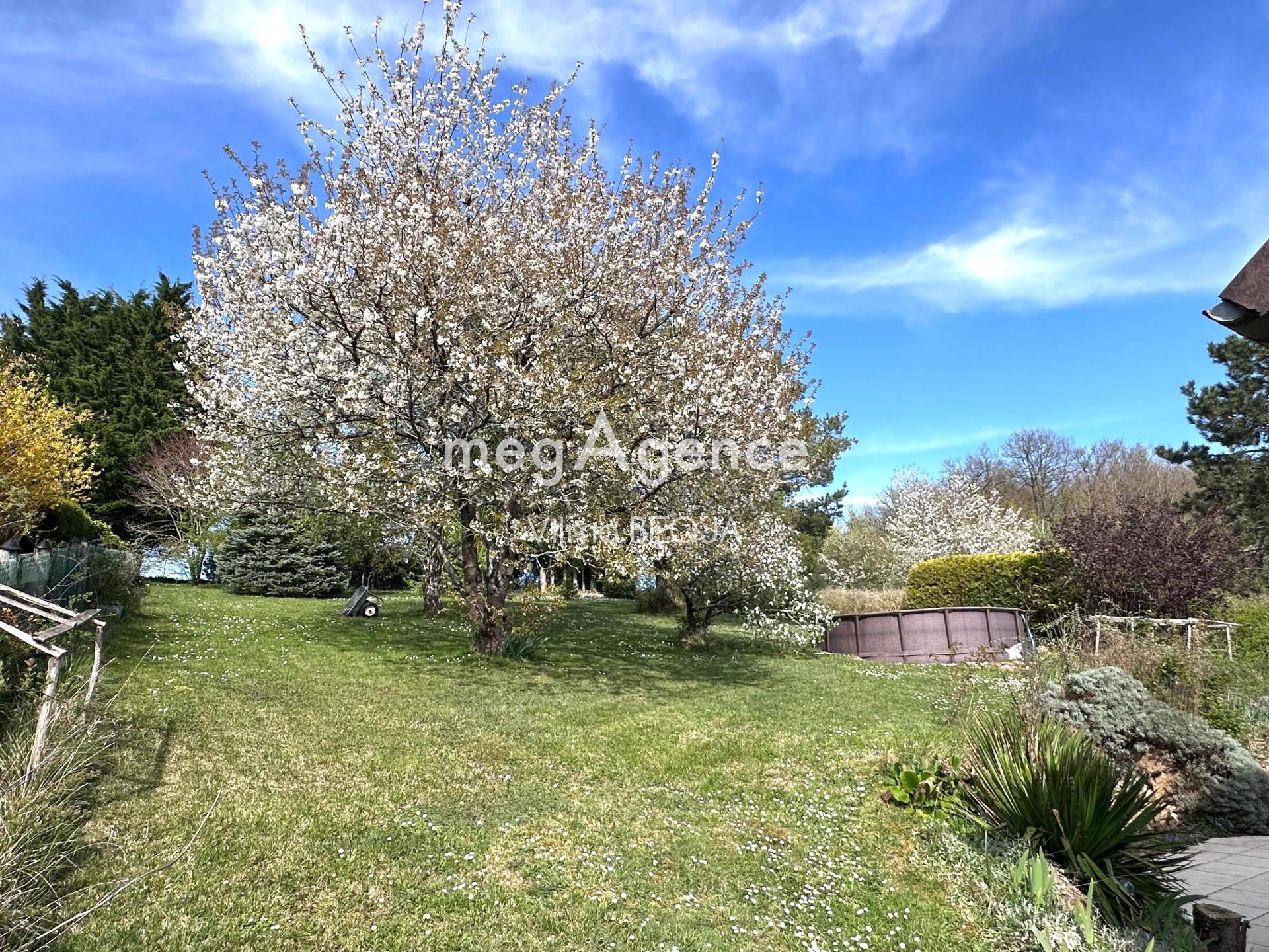 Miniature photo - 13 / 16