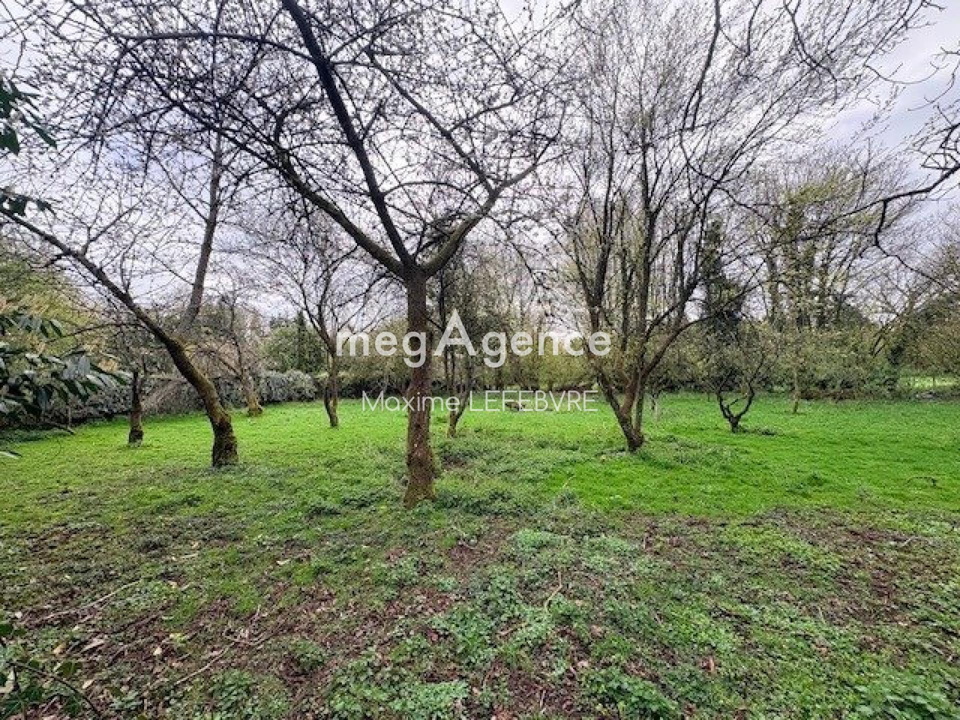 Miniature photo - 16 / 16