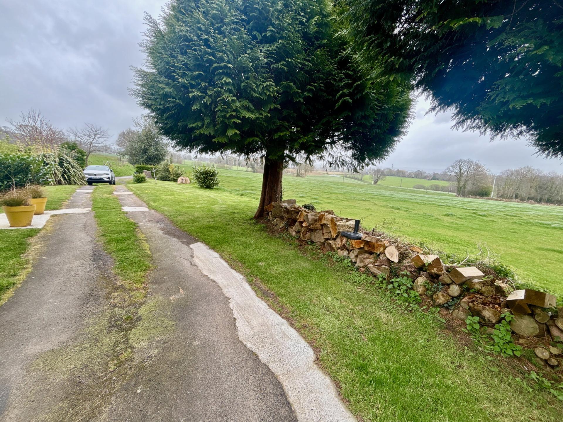 Miniature photo - 16 / 20