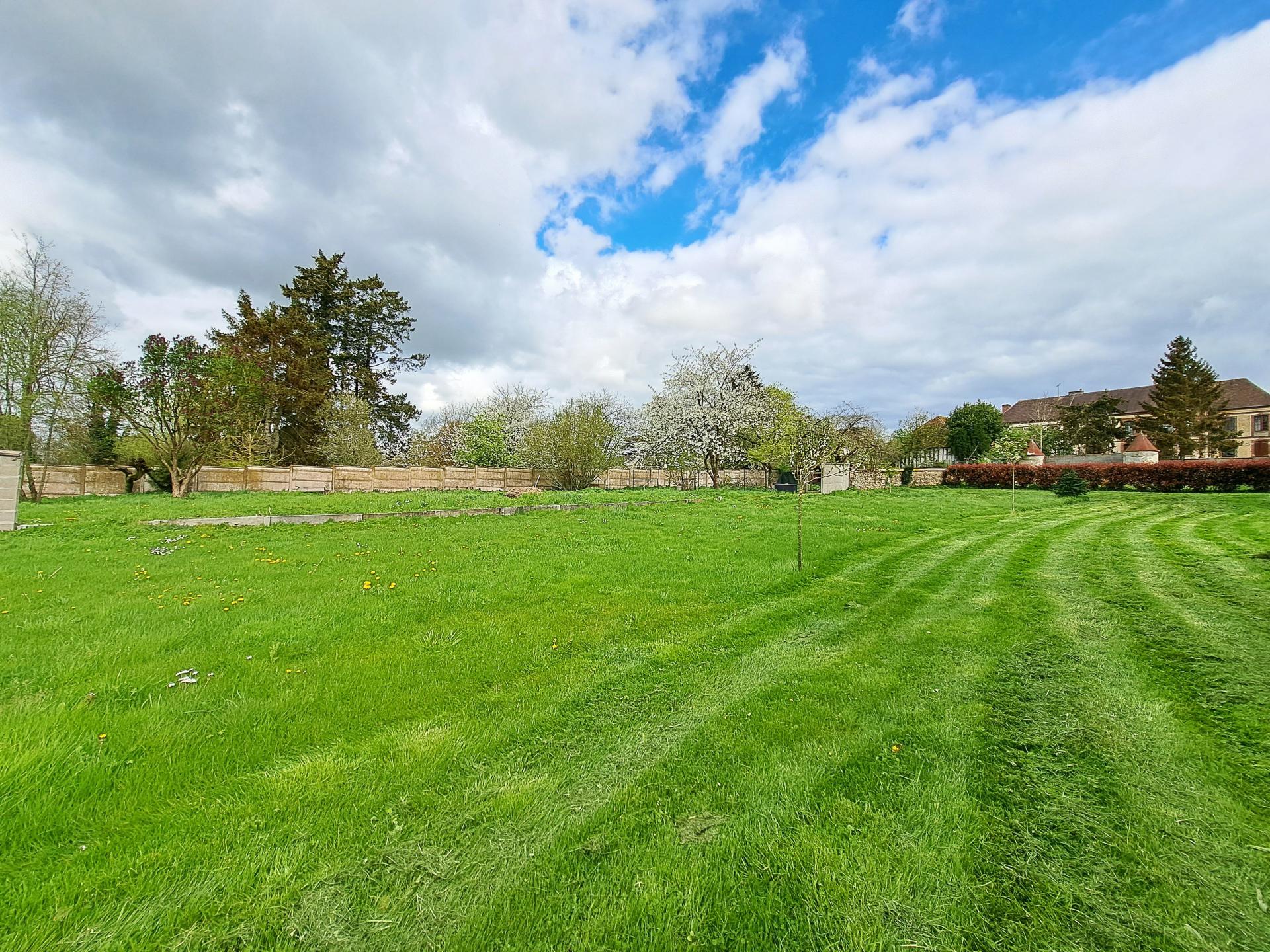 Miniature photo - 11 / 11