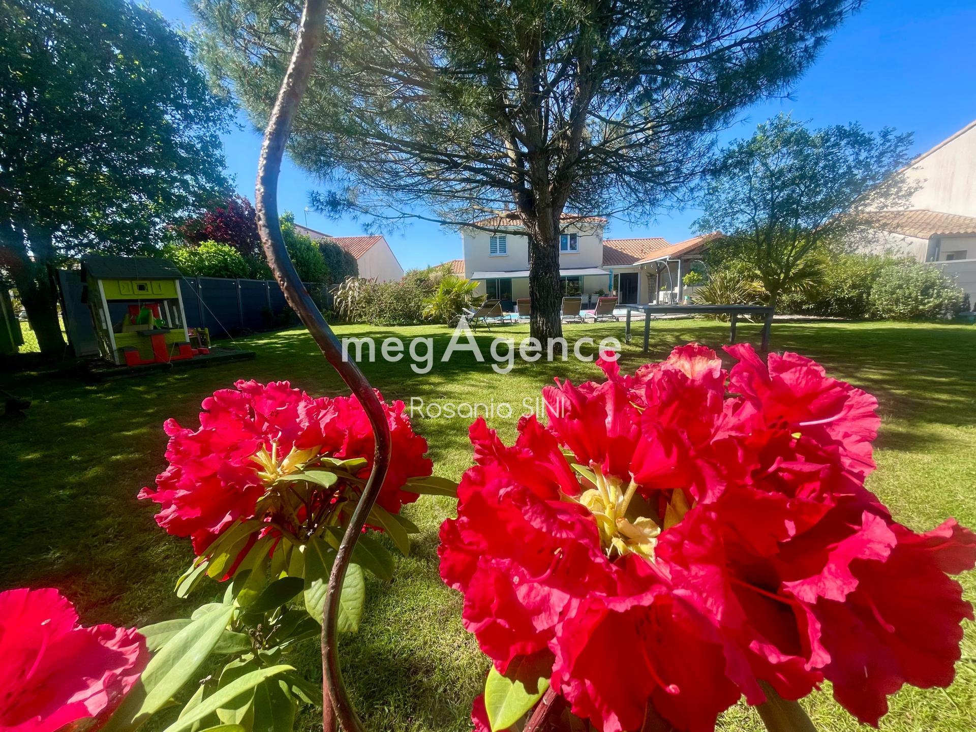 Miniature photo - 11 / 12