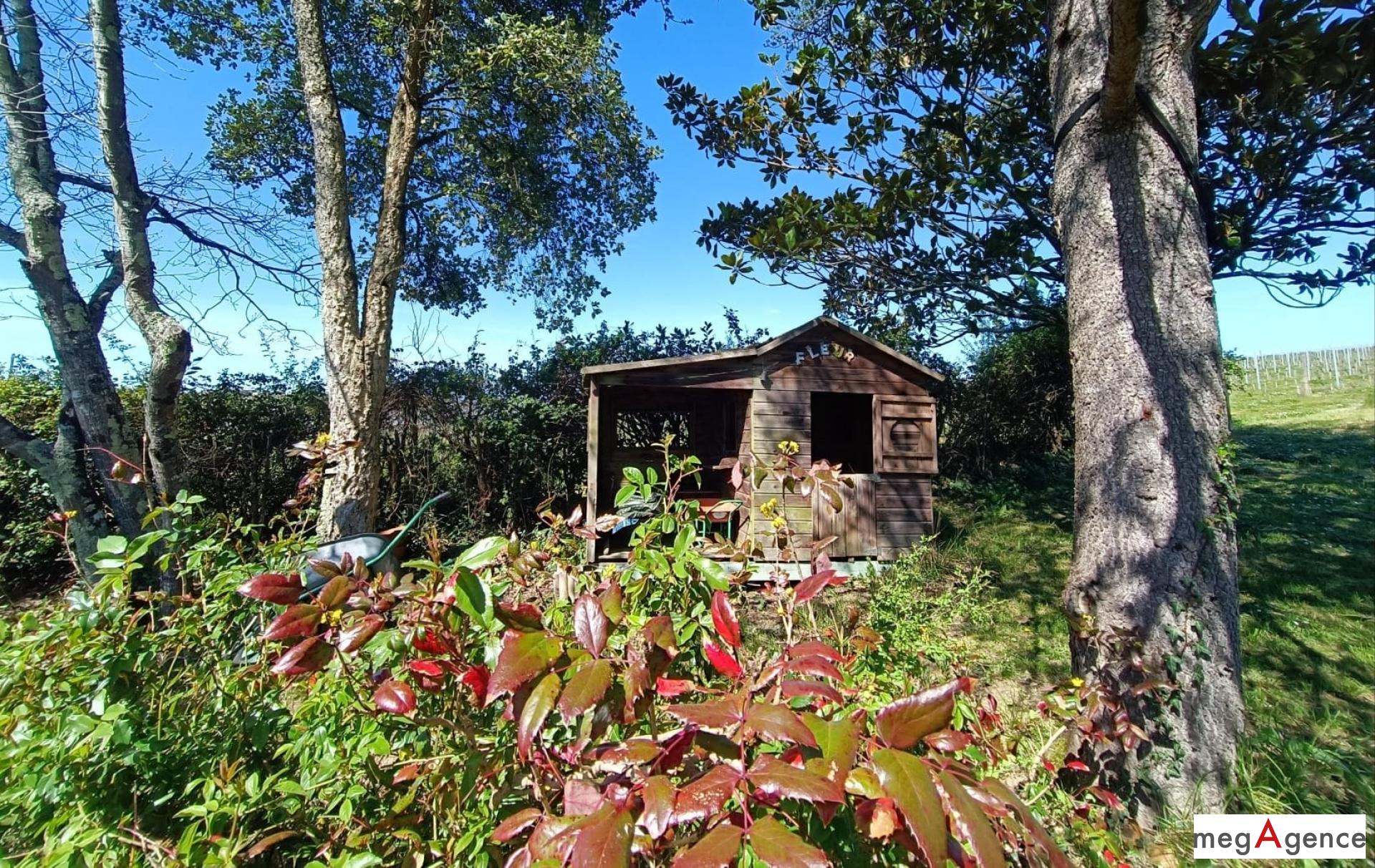 Miniature photo - 4 / 17