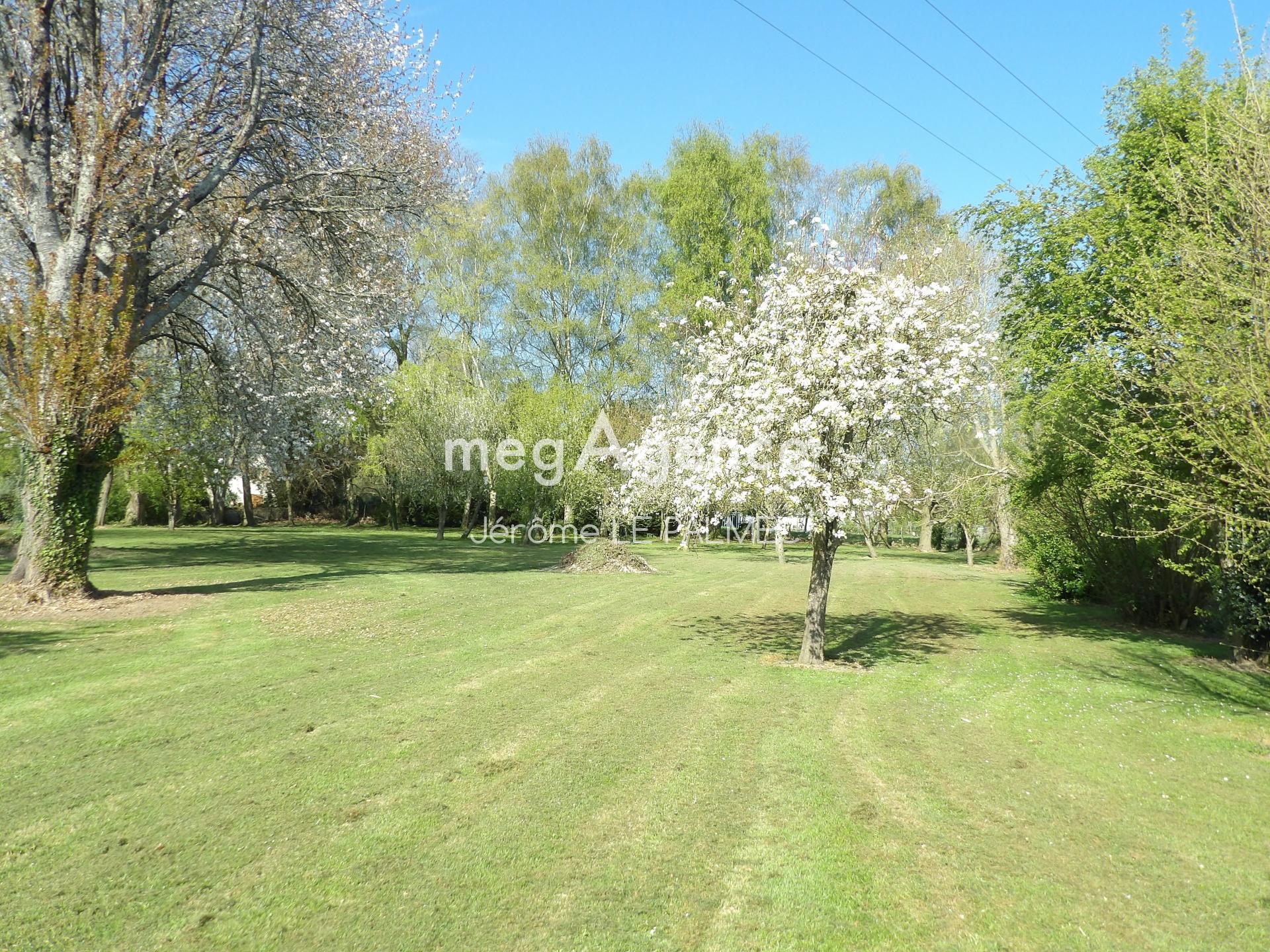 Miniature photo - 2 / 6