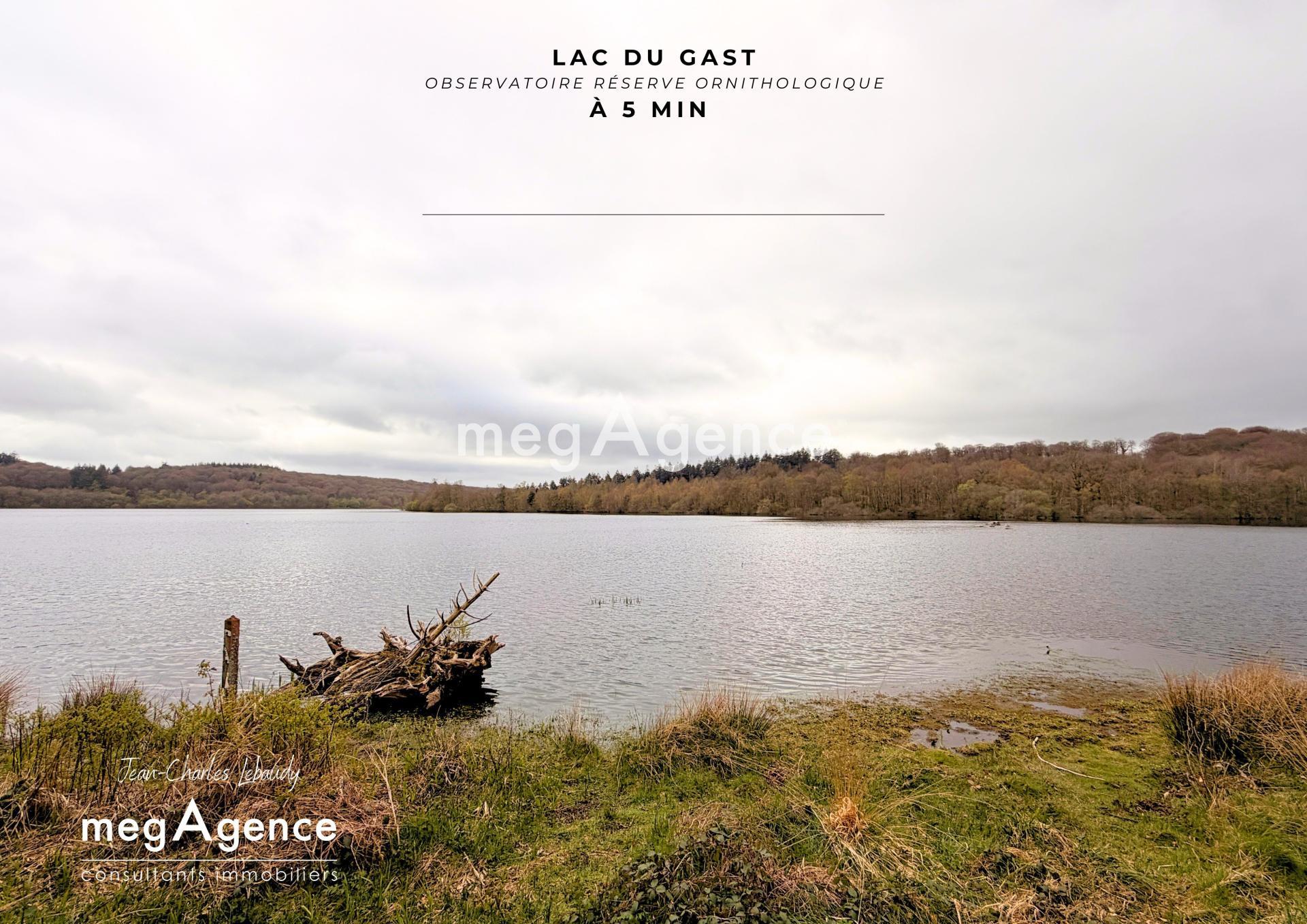 Miniature photo - 12 / 12