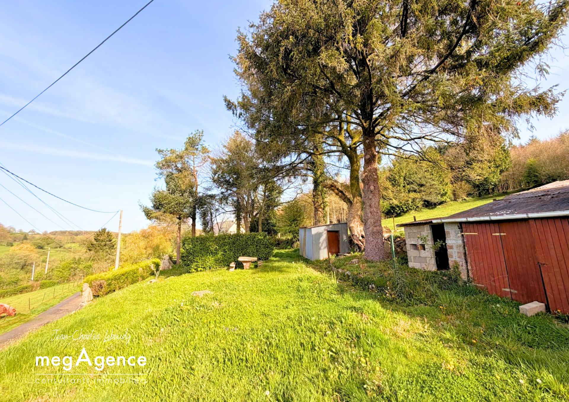 Miniature photo - 11 / 12